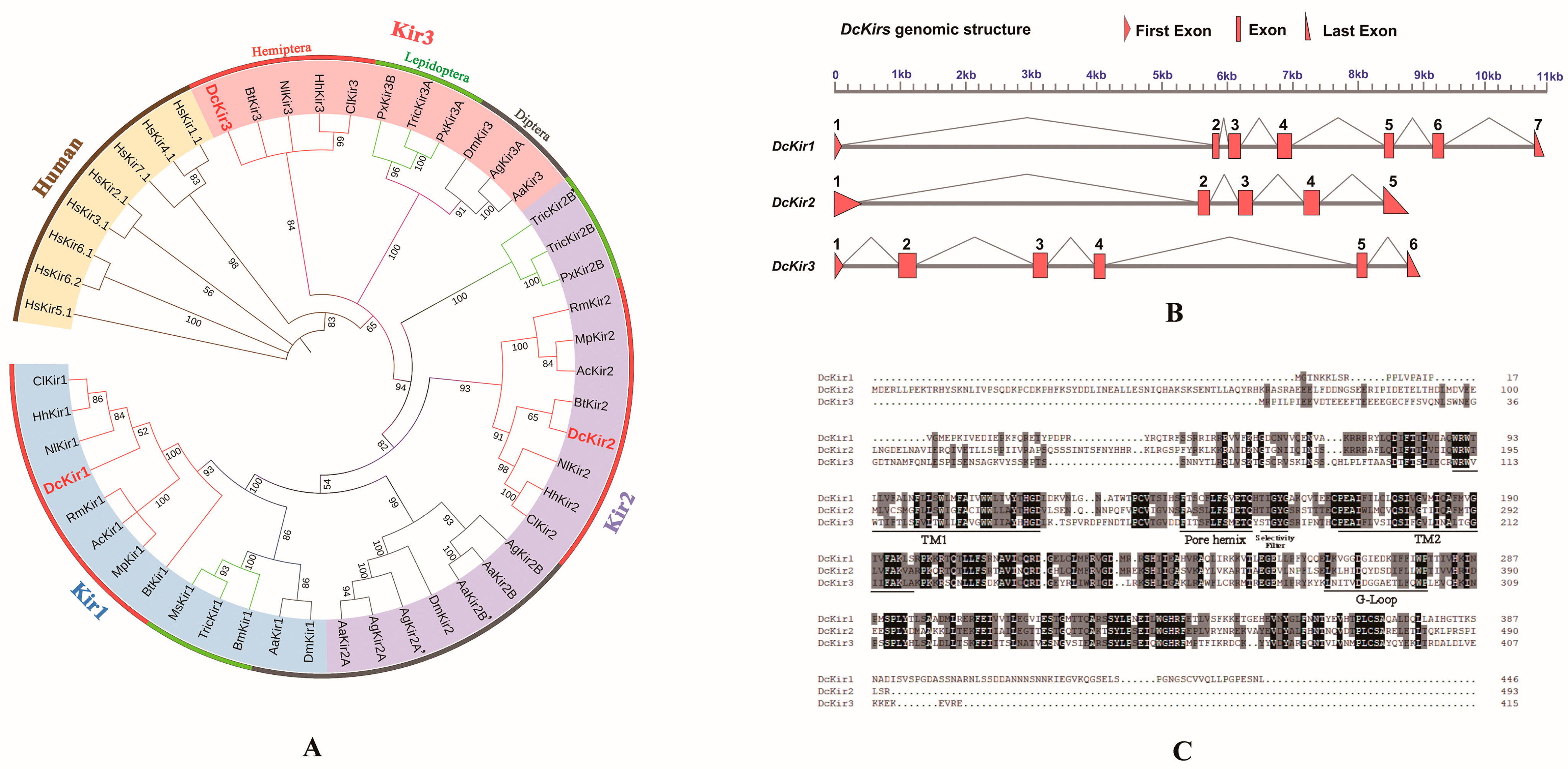 Insects 15 00900 g004