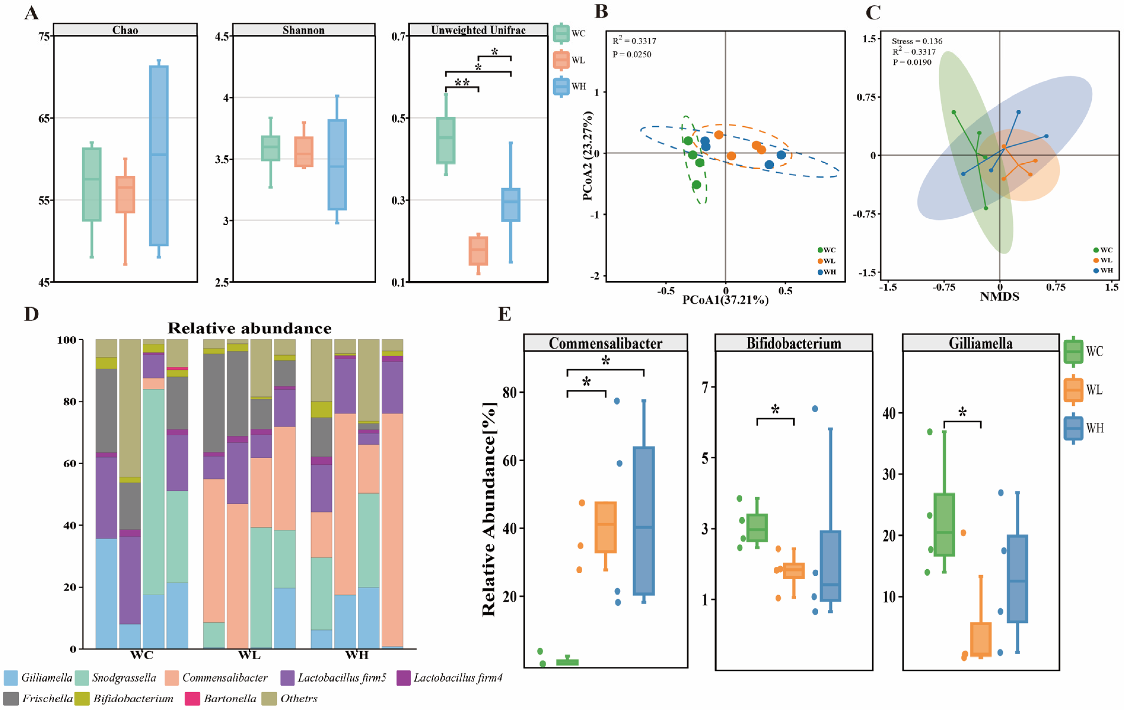 Insects 15 00927 g001