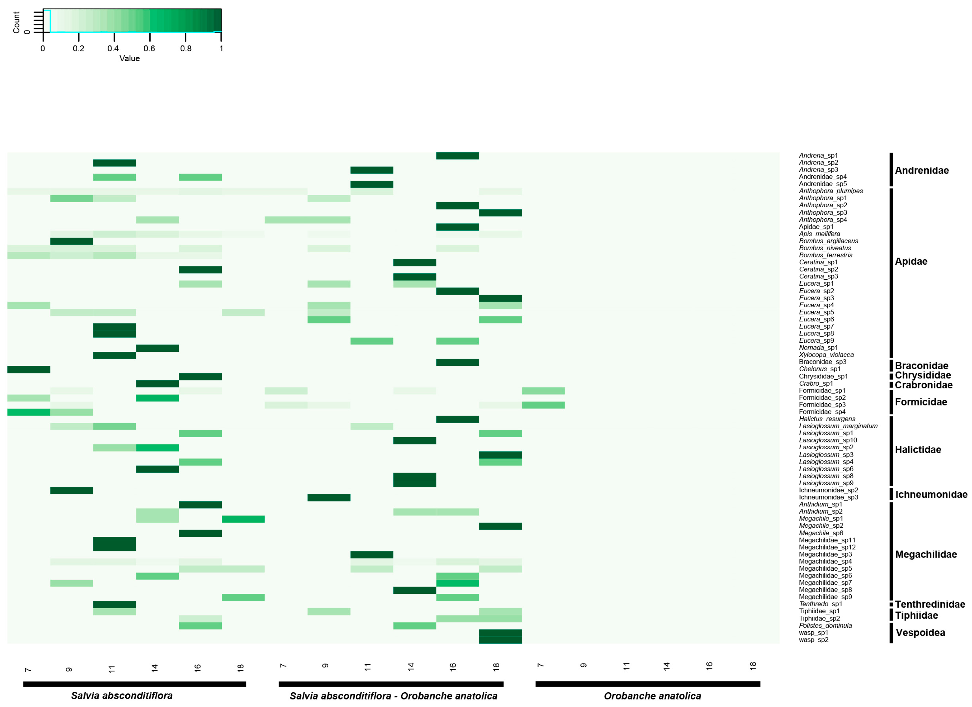 Insects 15 00929 g002