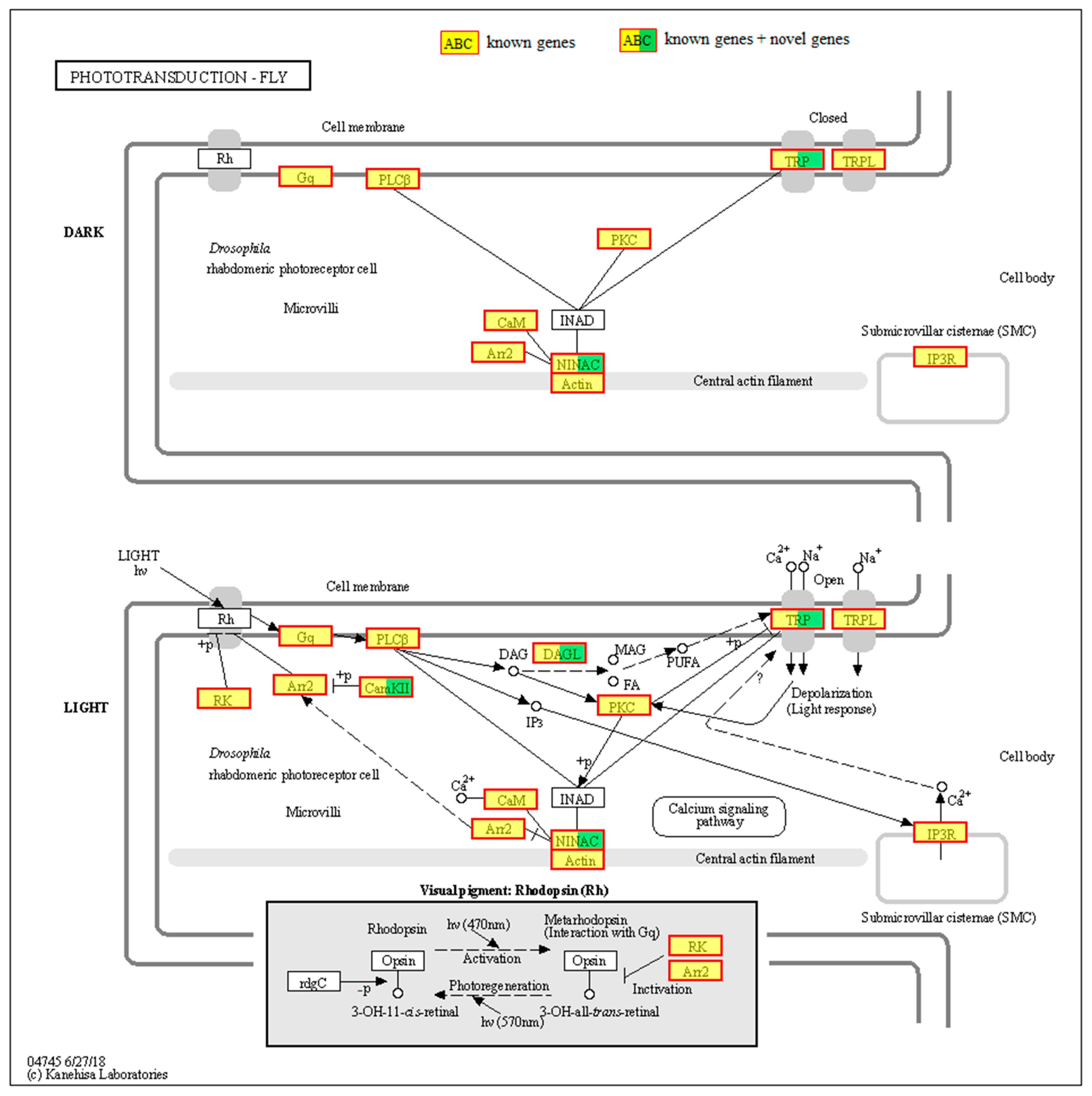Insects 15 00966 g003