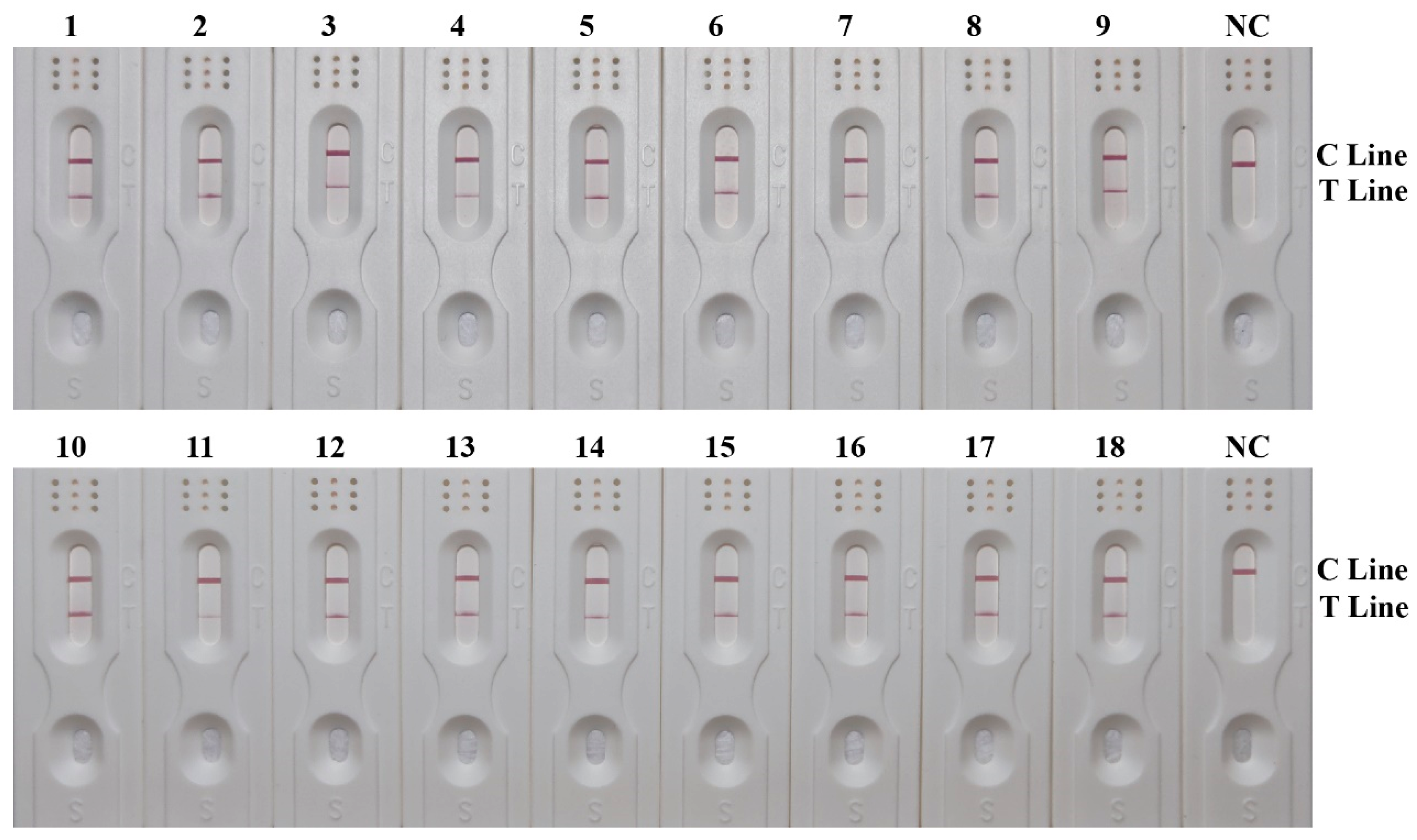 Insects 15 01008 g004