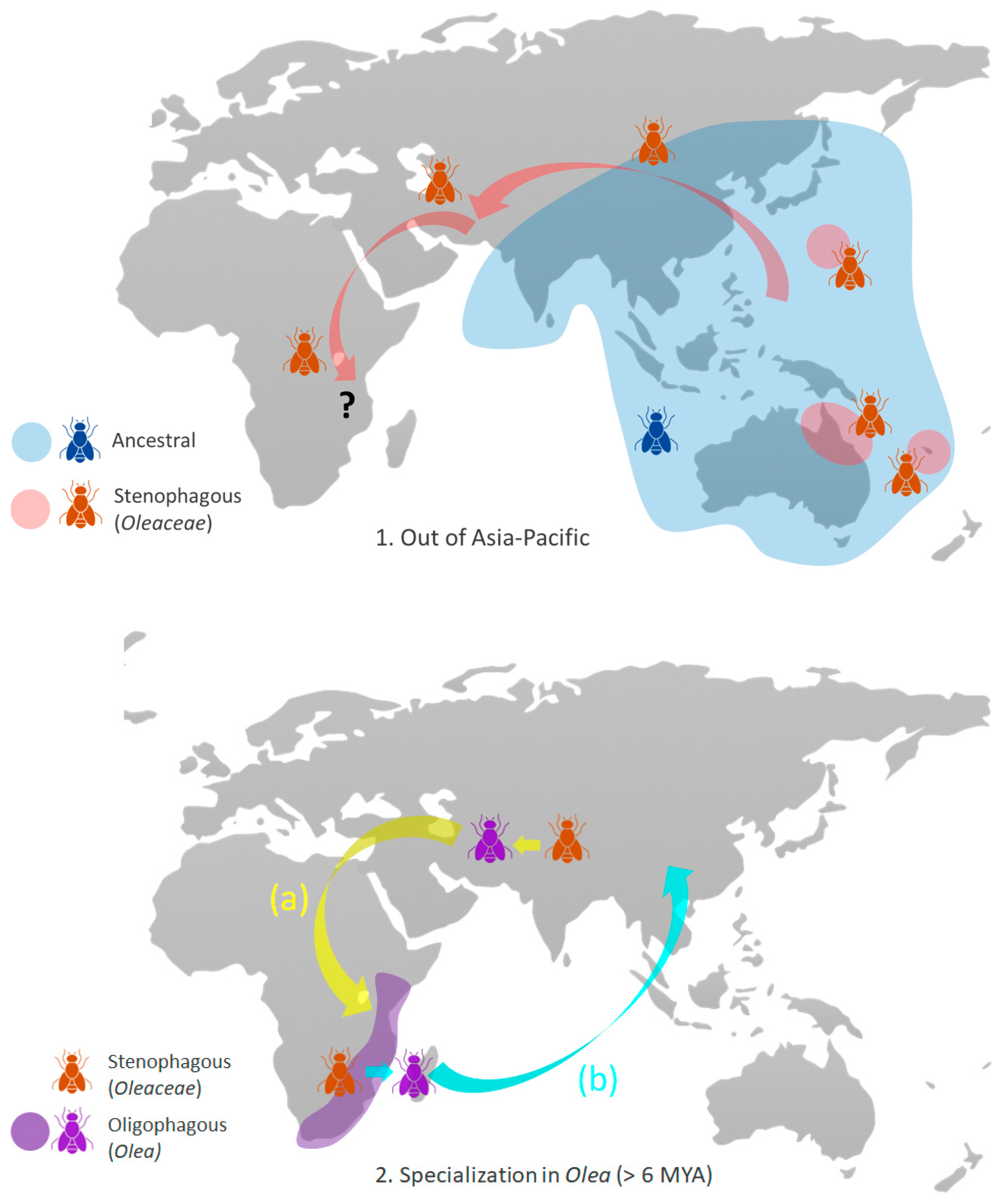 Insects 16 00030 g003a