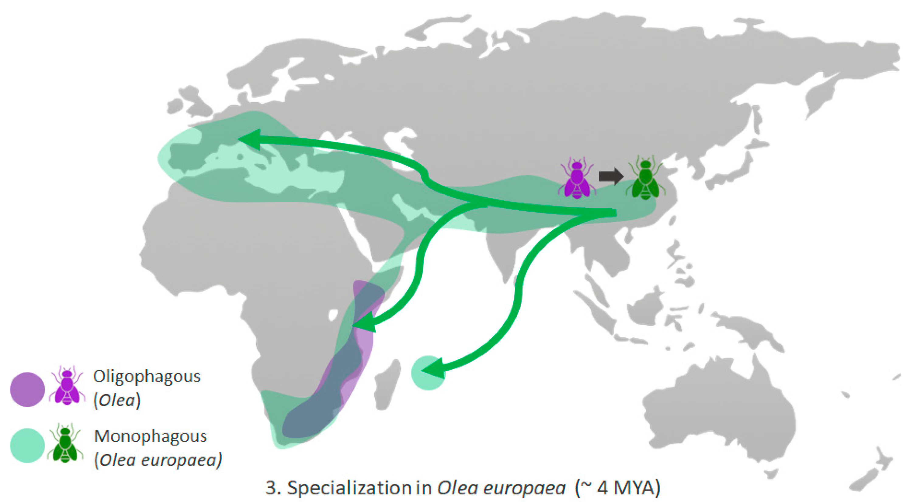 Insects 16 00030 g003b