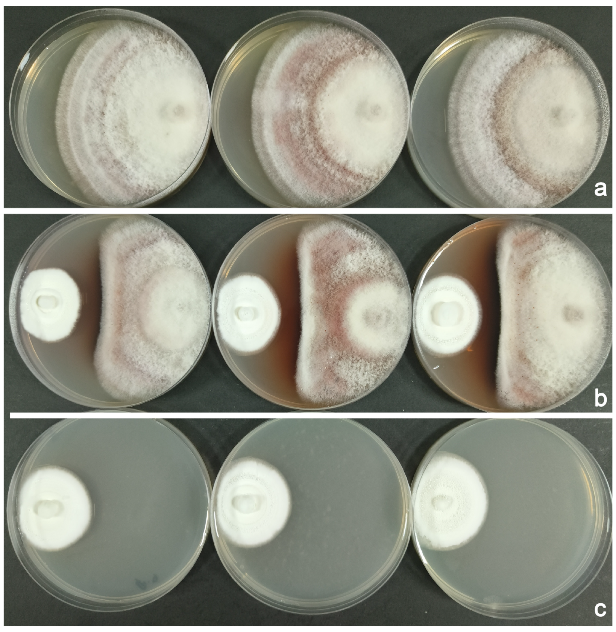 Insects 16 00056 g003