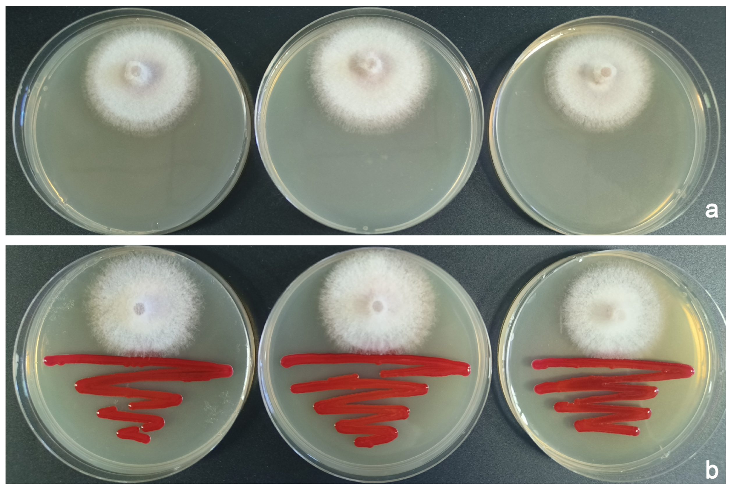 Insects 16 00056 g004