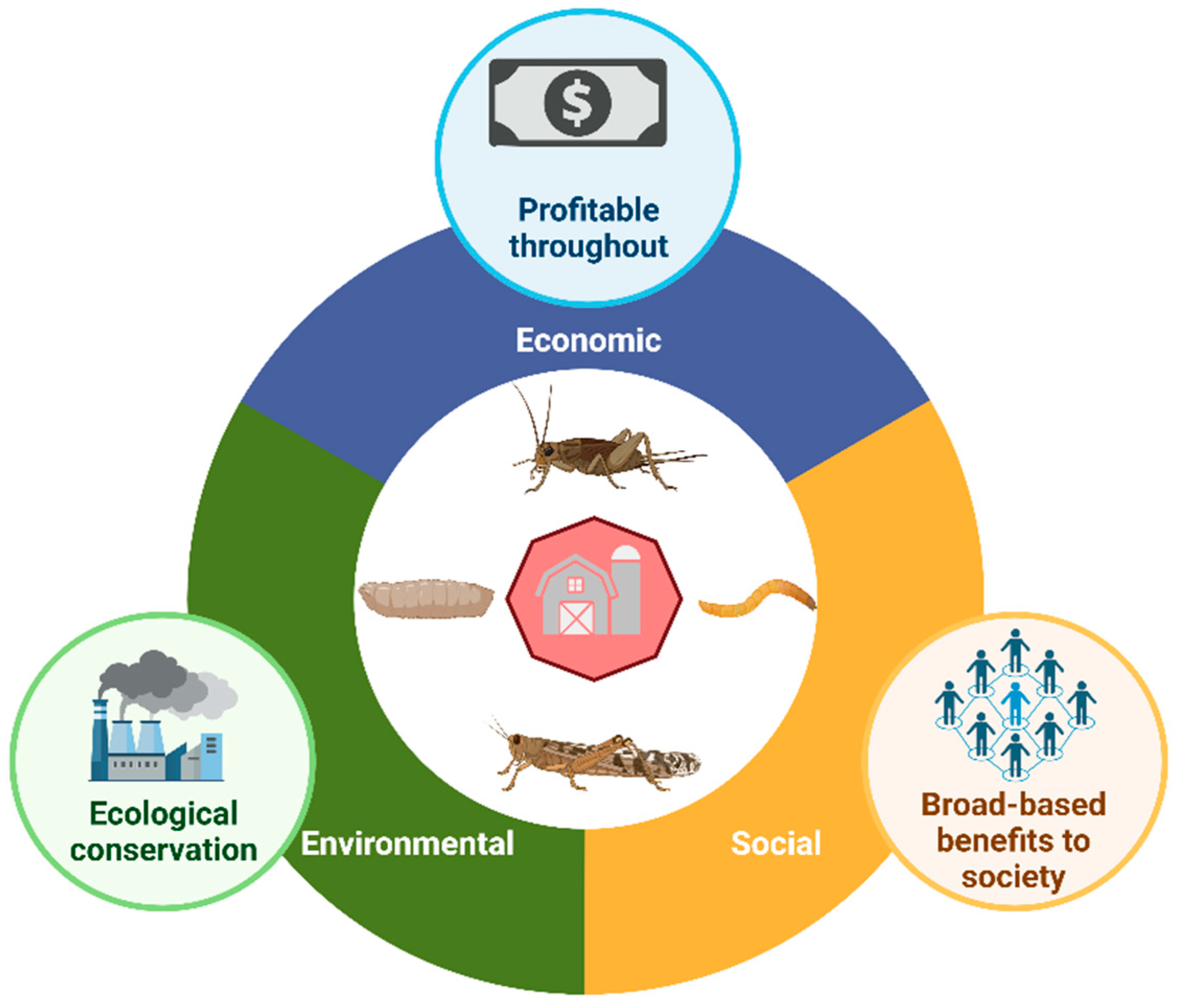 Insects 16 00067 g001