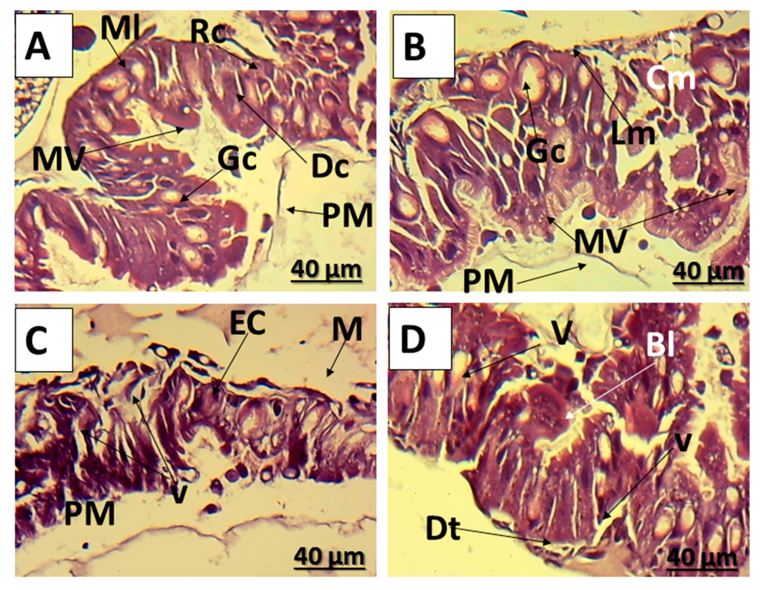 Insects 16 00072 g002 Insects 16 00072 g002