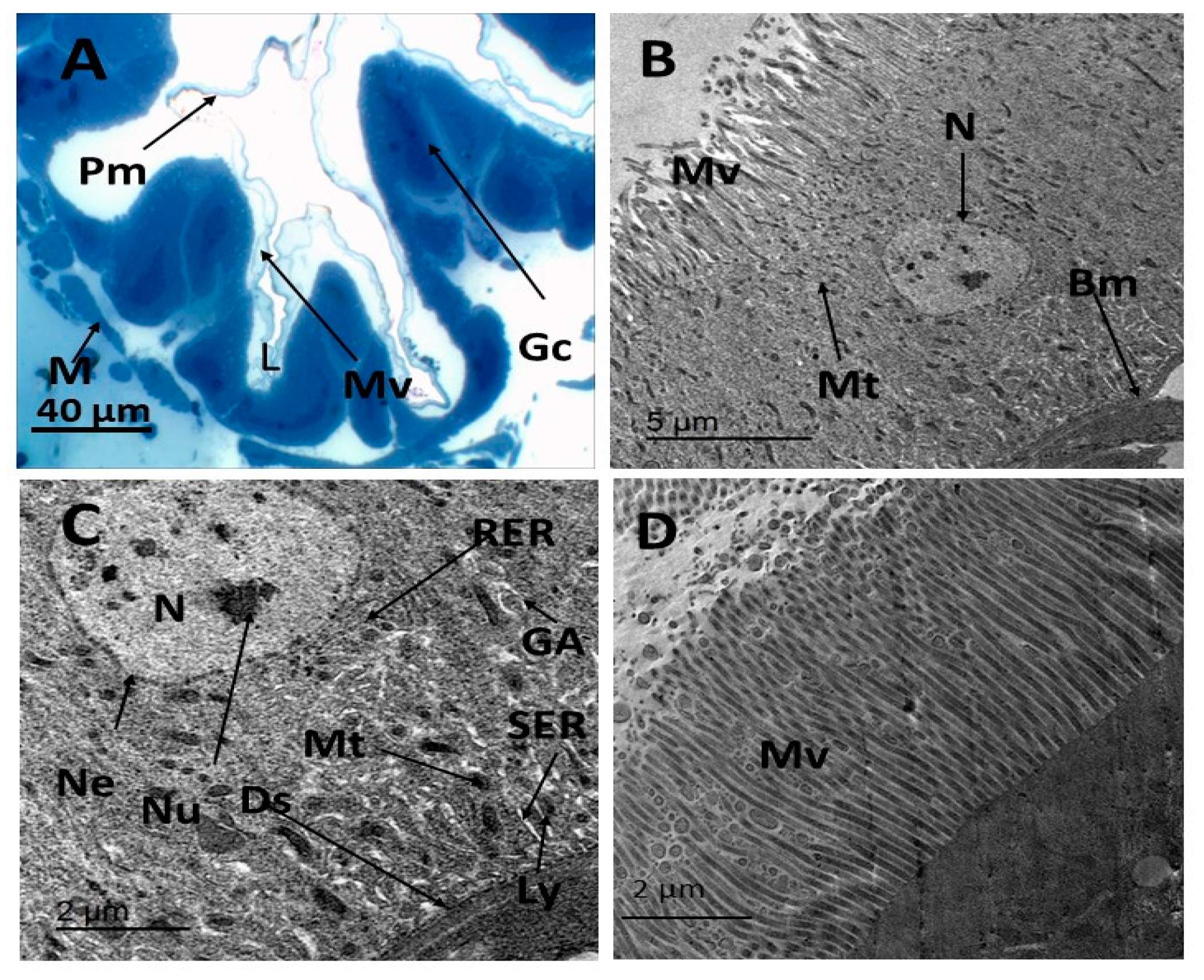 Insects 16 00072 g003 Insects 16 00072 g003