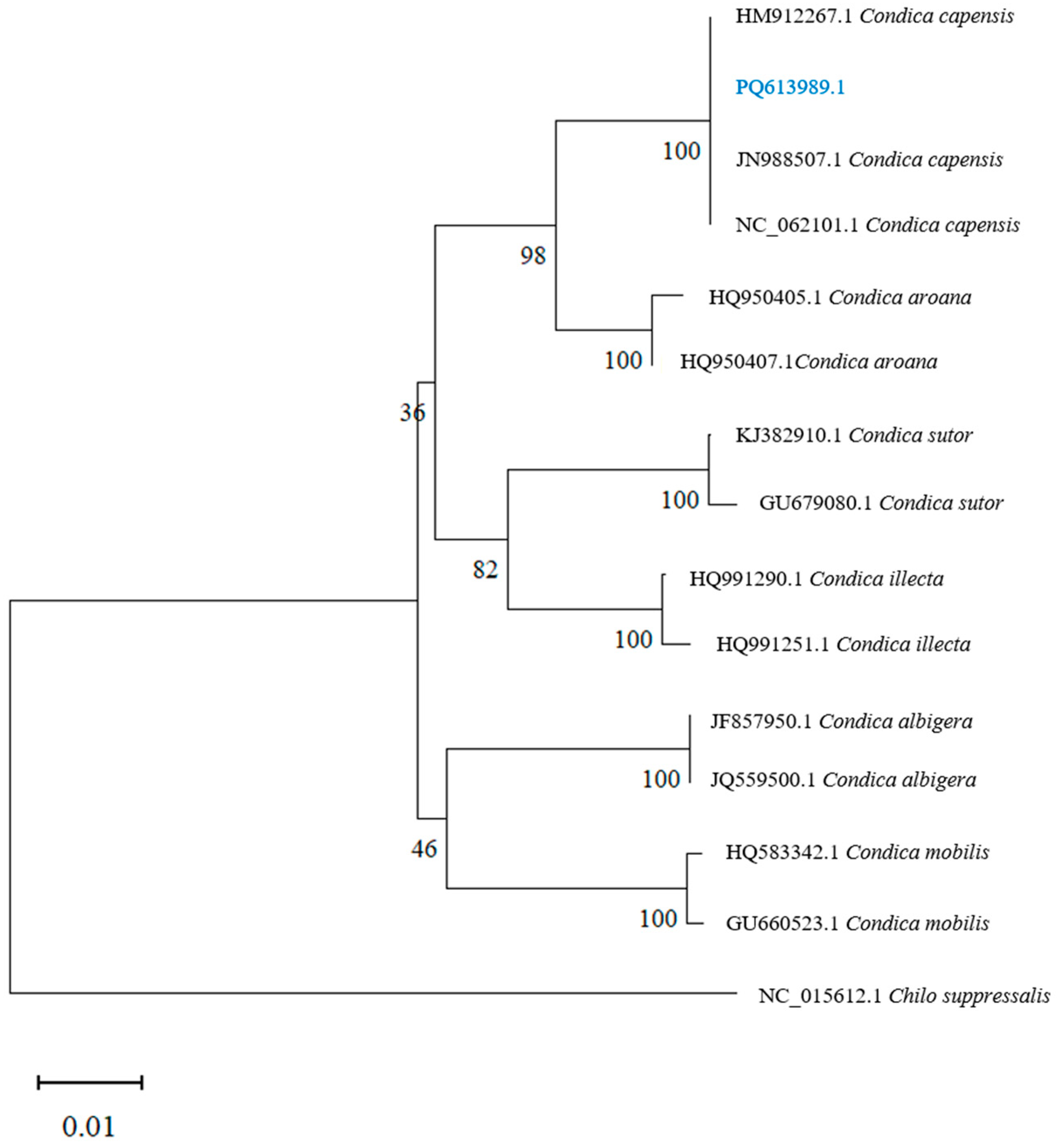 Insects 16 00130 g005