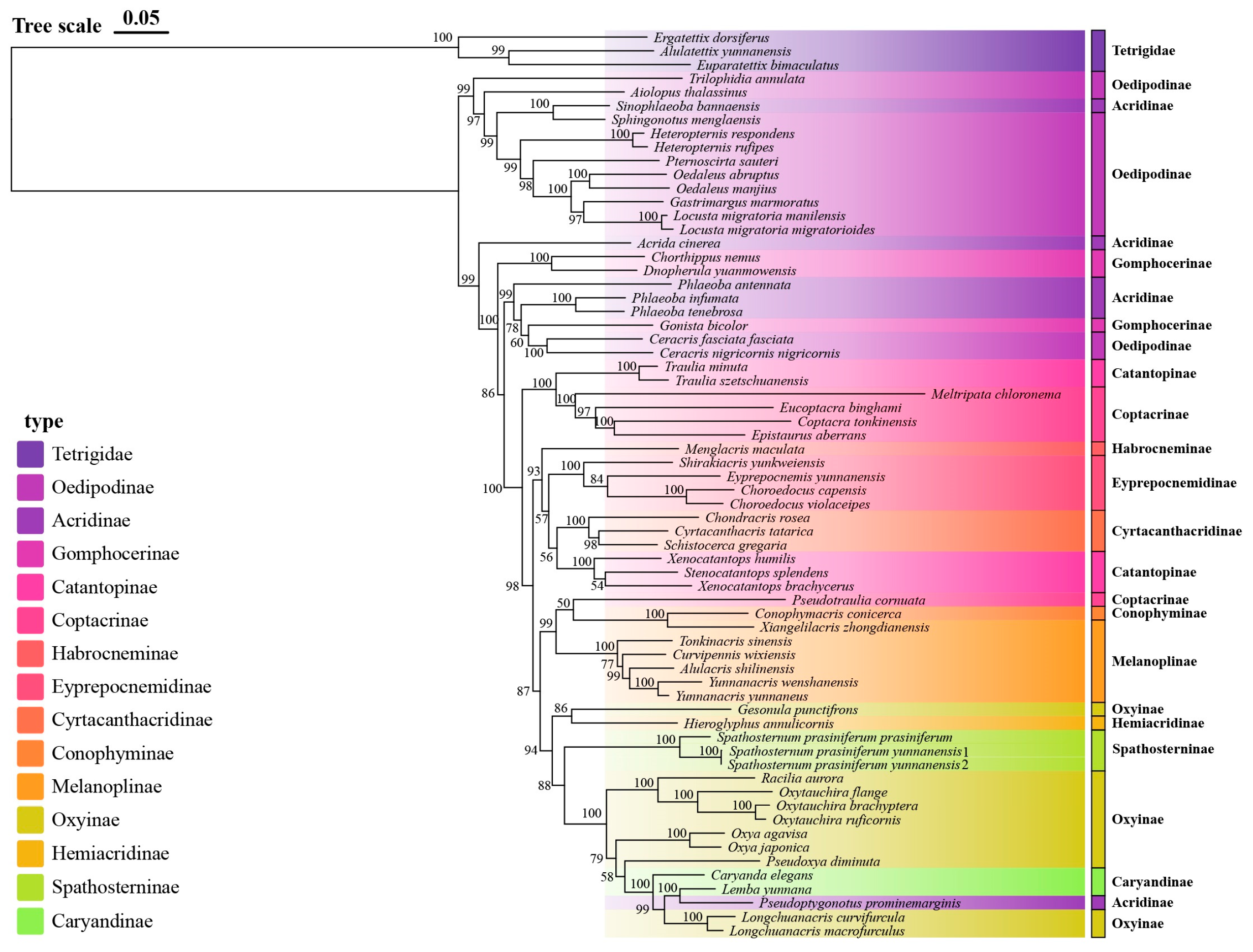 Insects 16 00151 g005