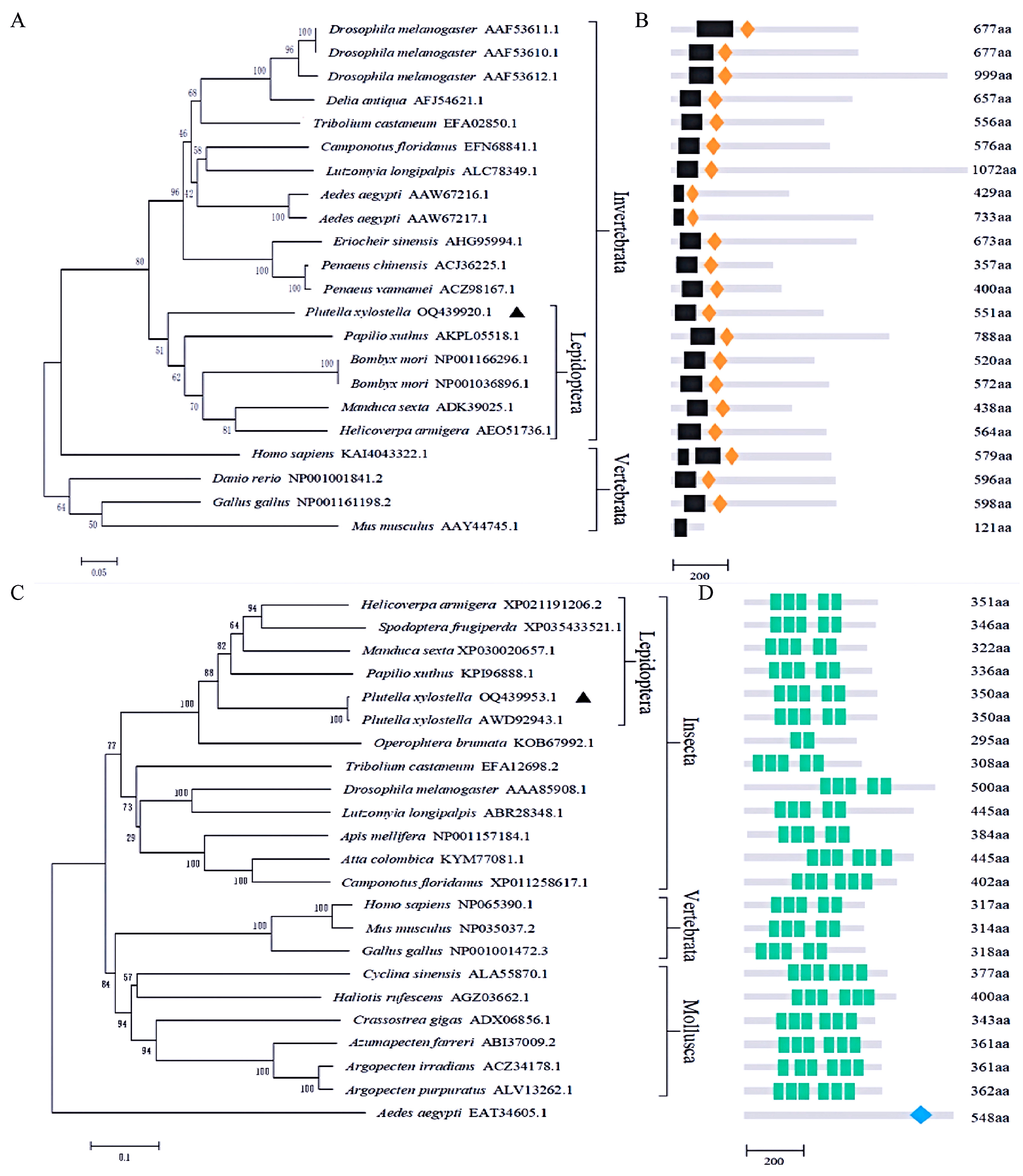 Insects 16 00163 g001