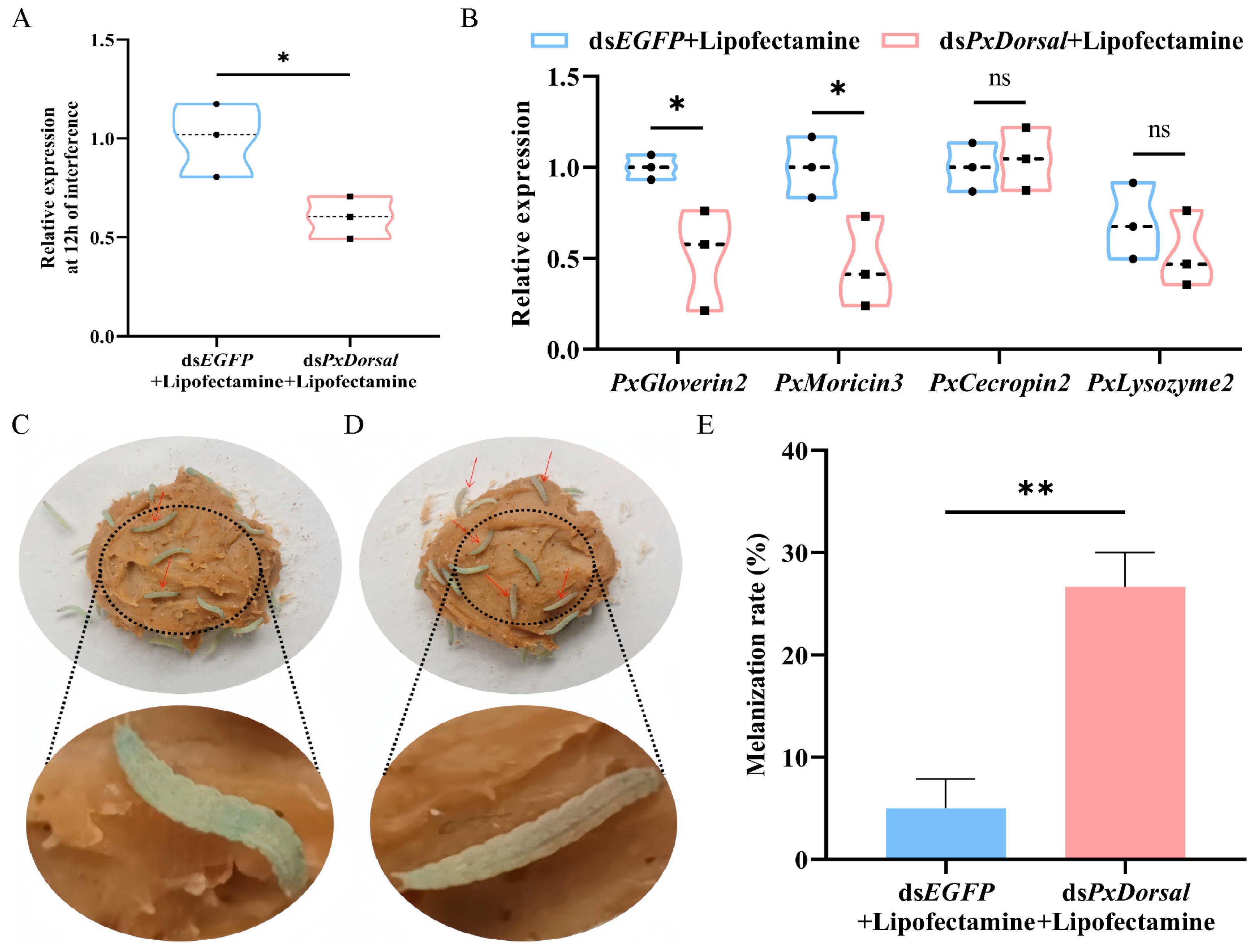 Insects 16 00163 g005