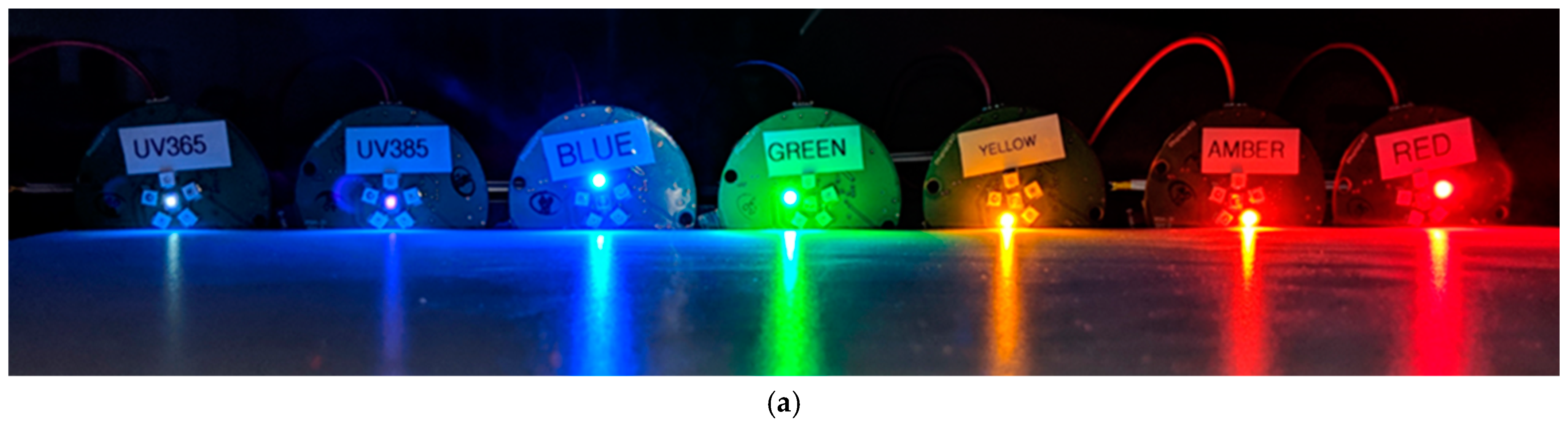 Insects 16 00170 g001a