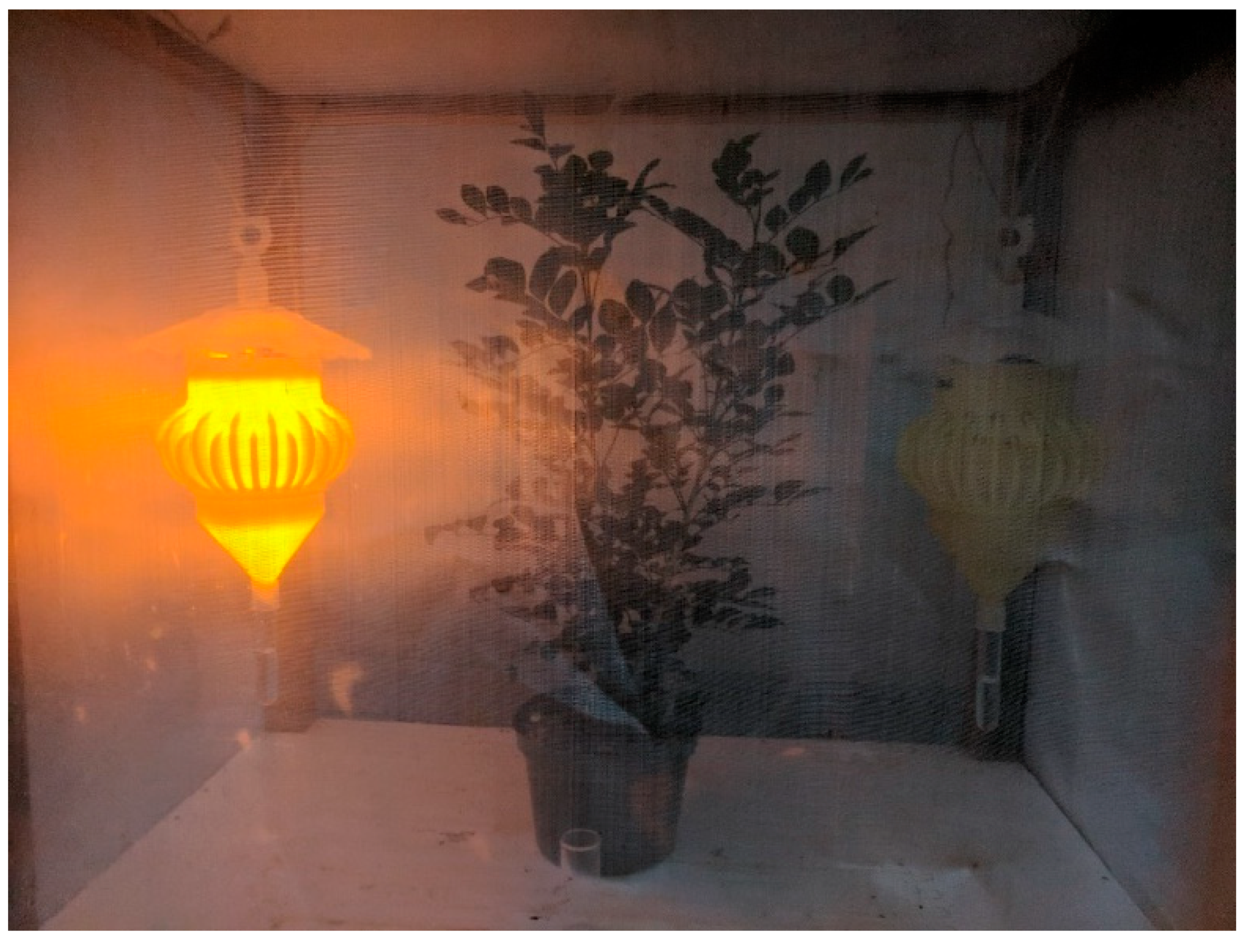 Insects 16 00170 g002