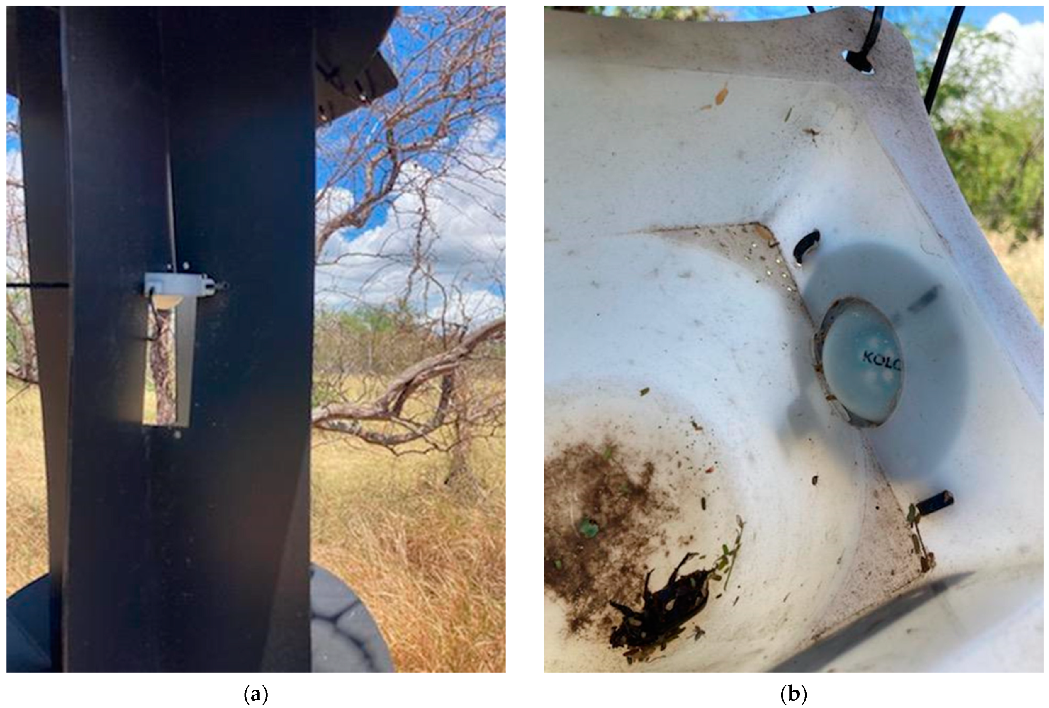 Insects 16 00170 g003