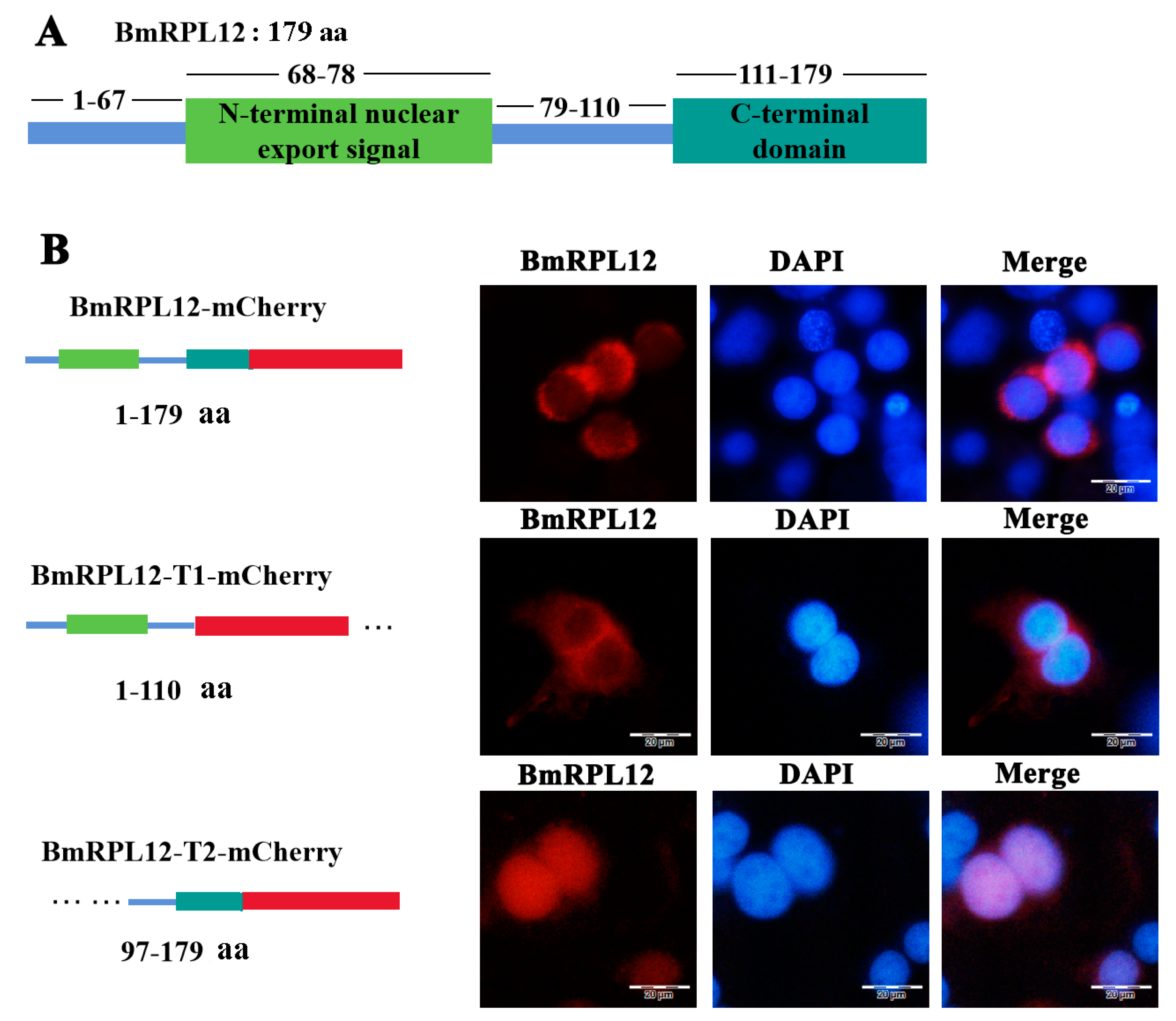 Insects 16 00187 g003