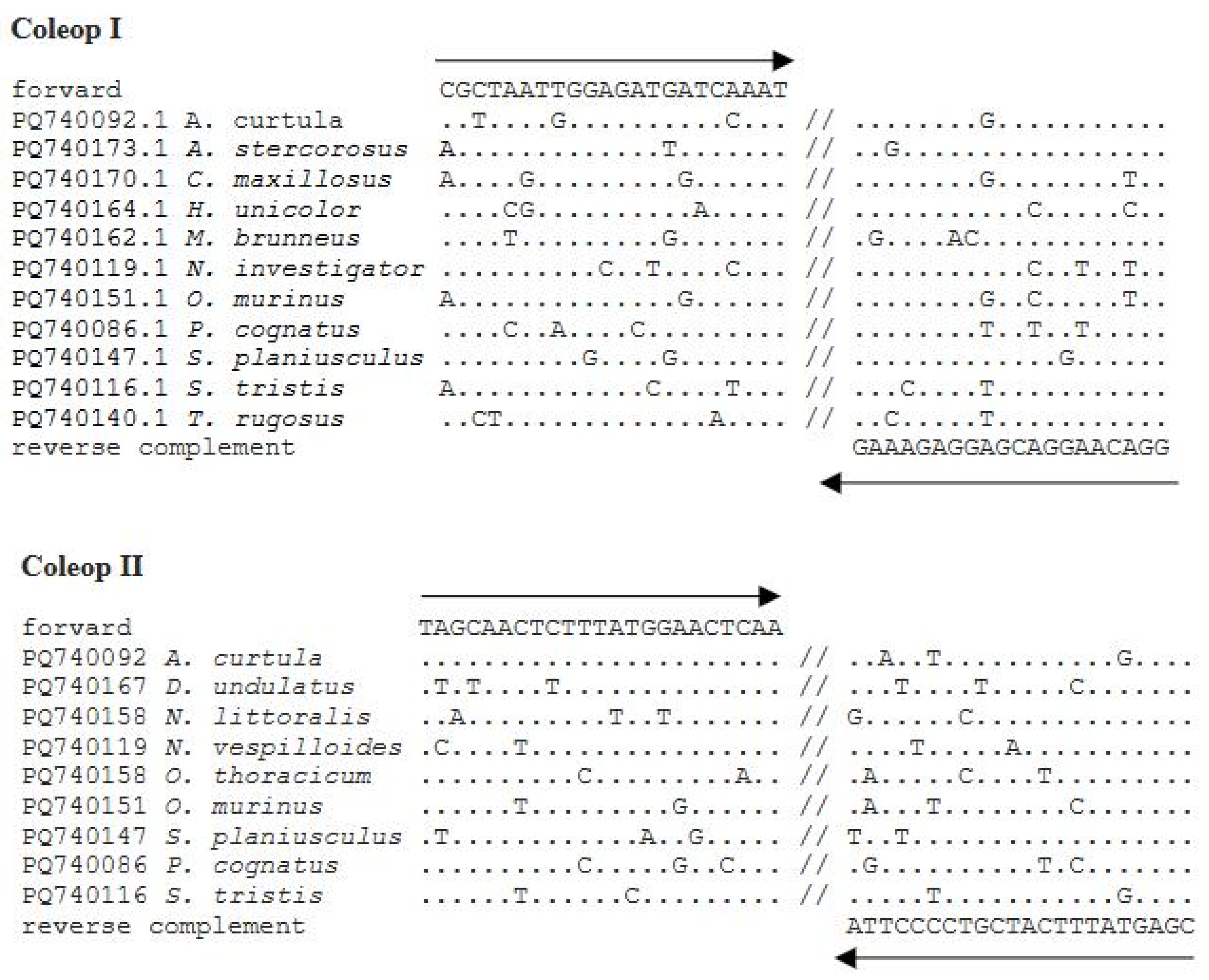 Insects 16 00215 g001 Insects 16 00215 g001