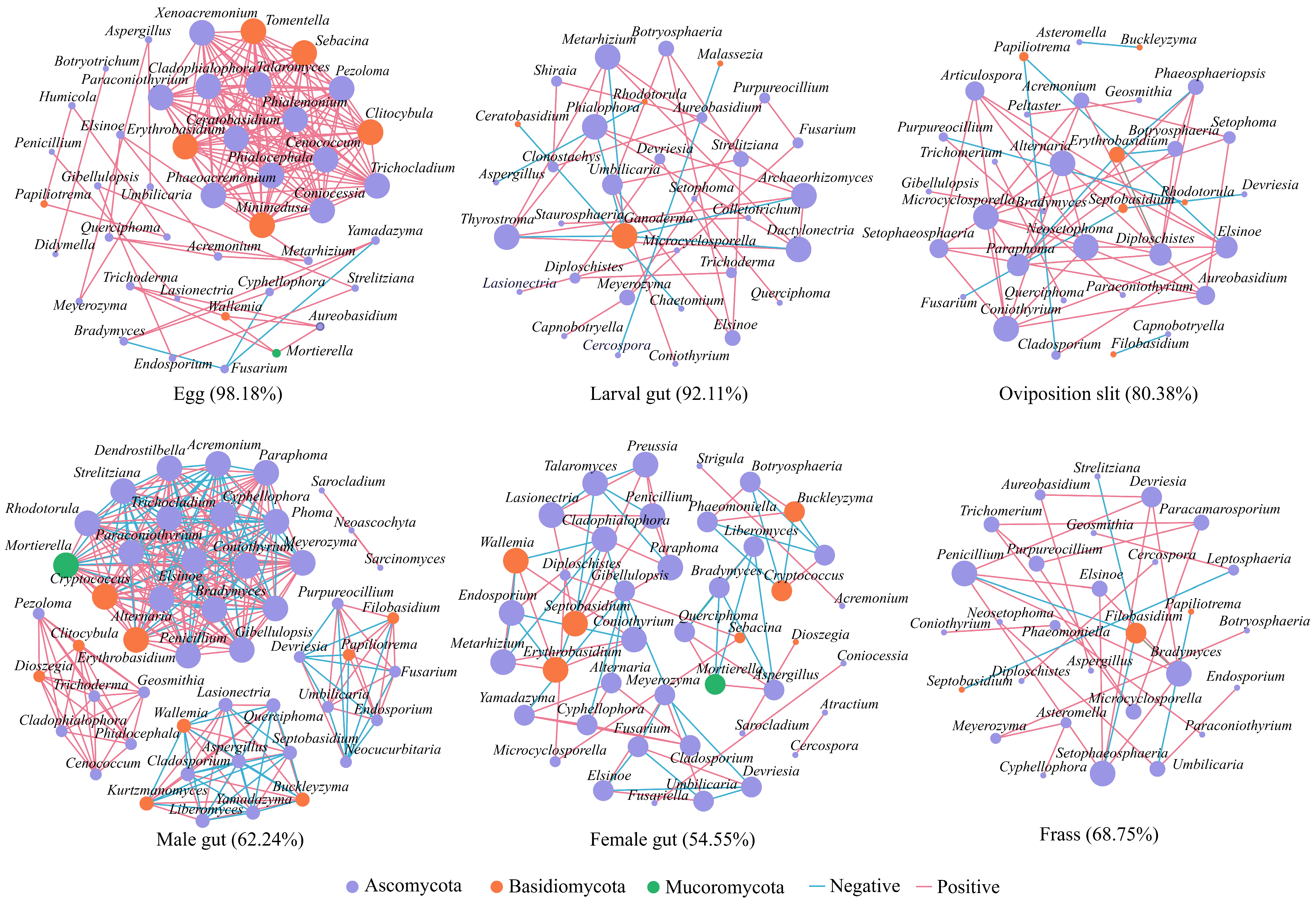 Insects 16 00273 g005