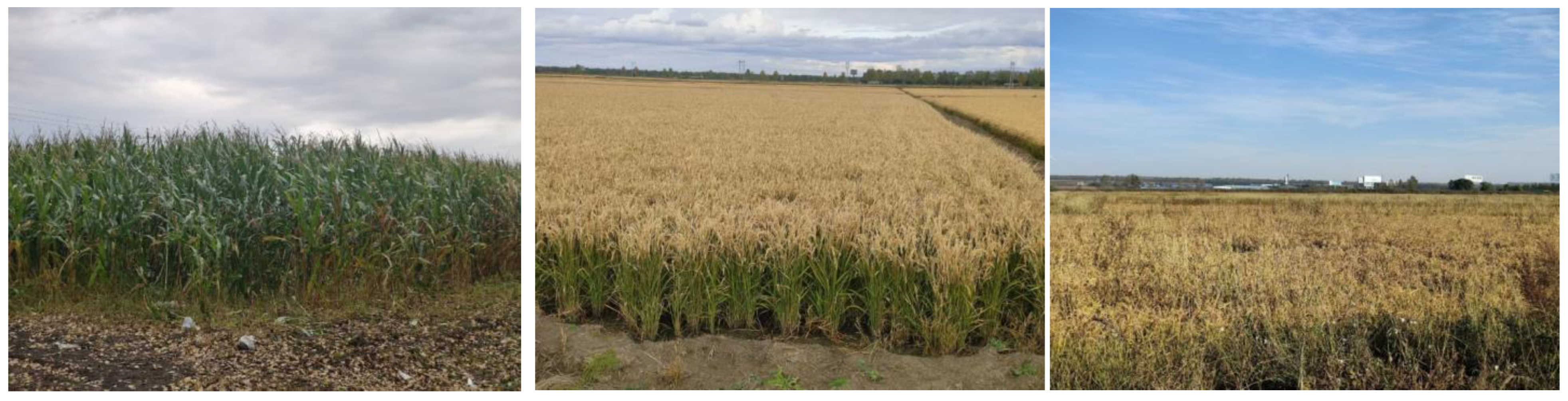 Insects 16 00275 g0a1