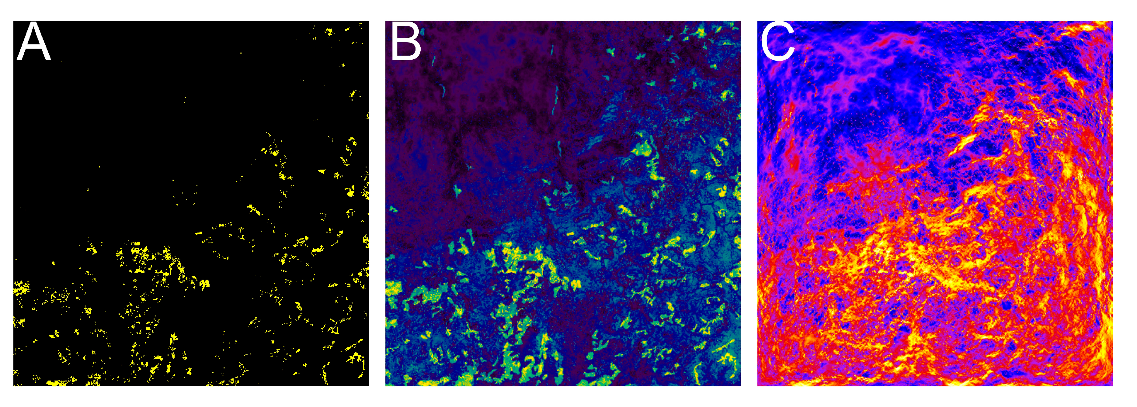 Insects 16 00279 g002