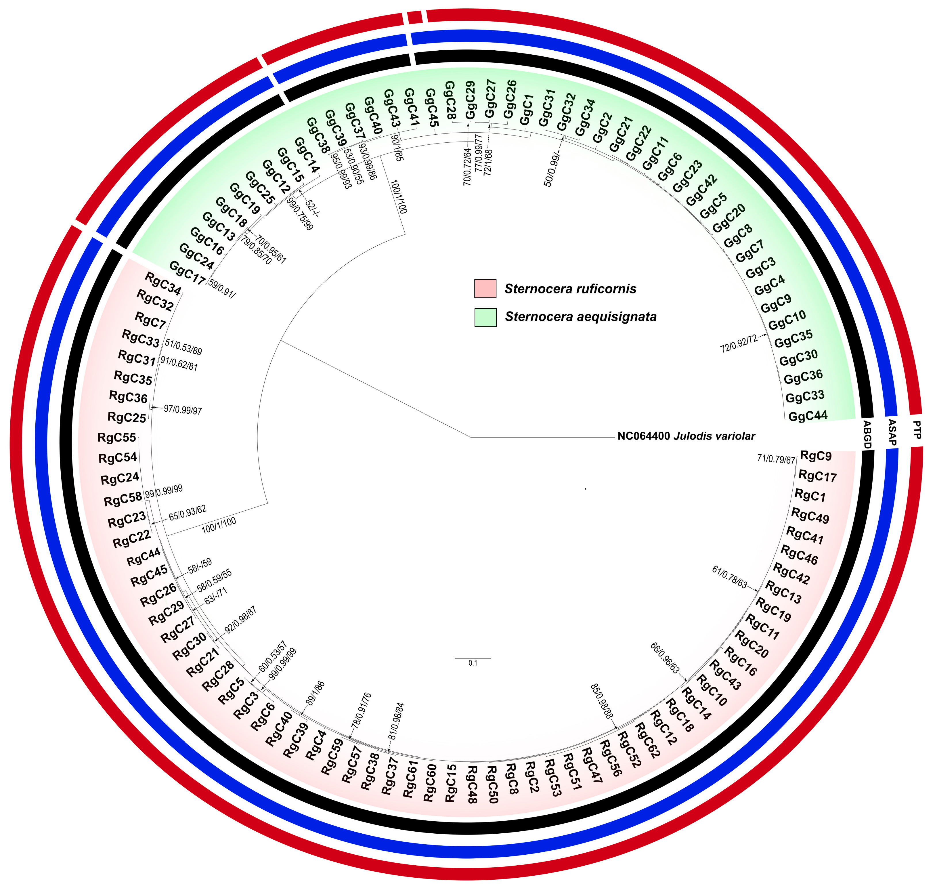 Insects 16 00322 g004