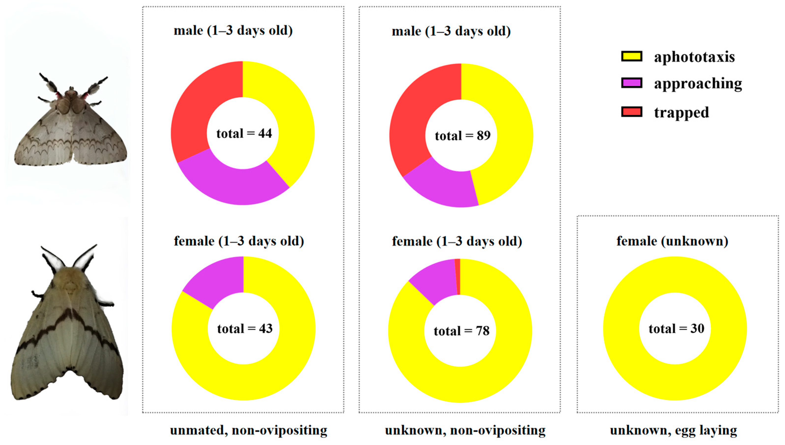 Insects 16 00338 g004