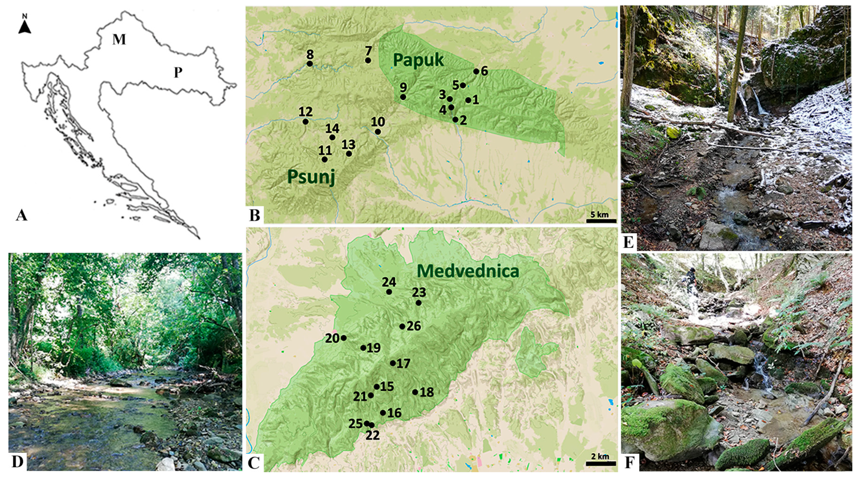 Insects 16 00344 g001