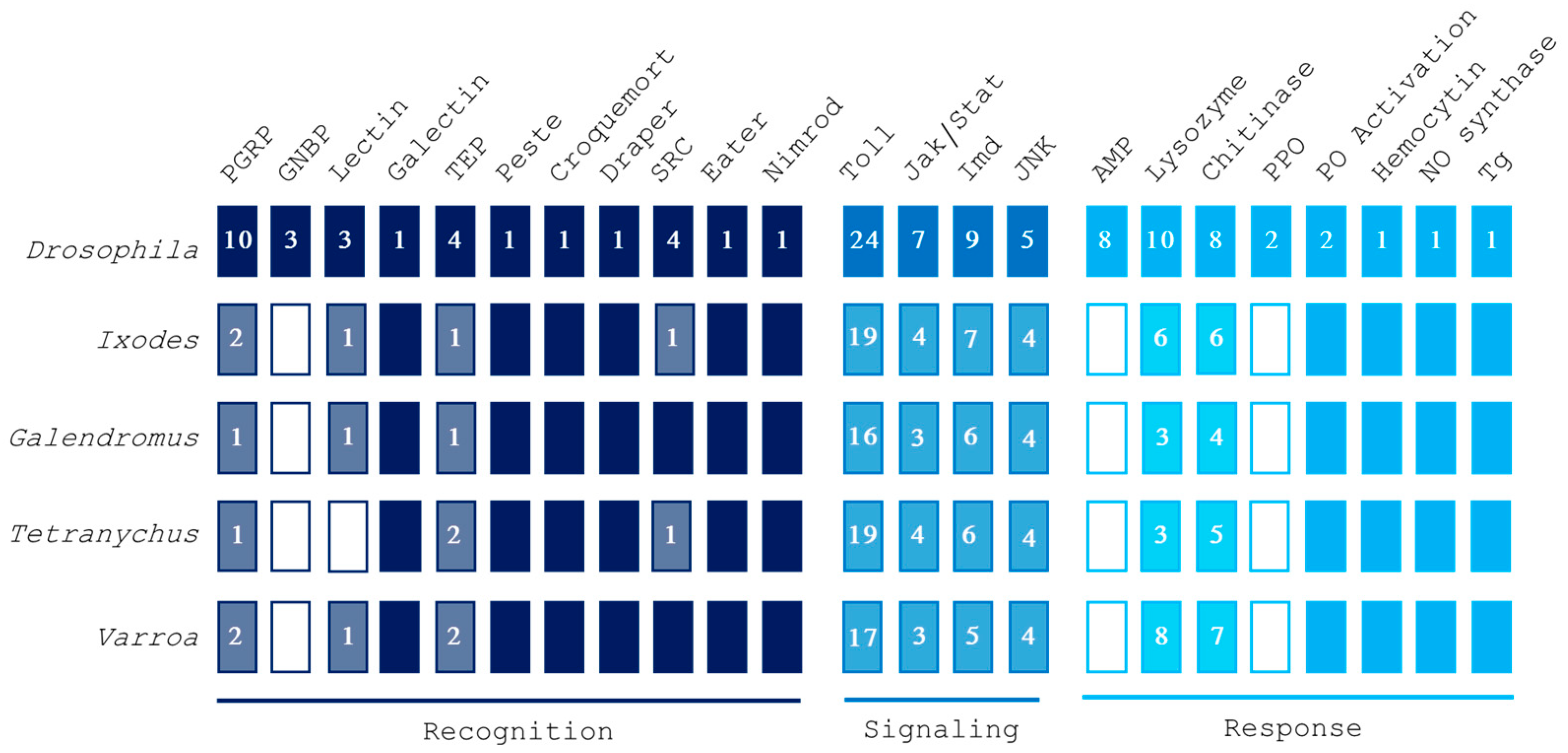 Insects 16 00356 g001 Insects 16 00356 g001