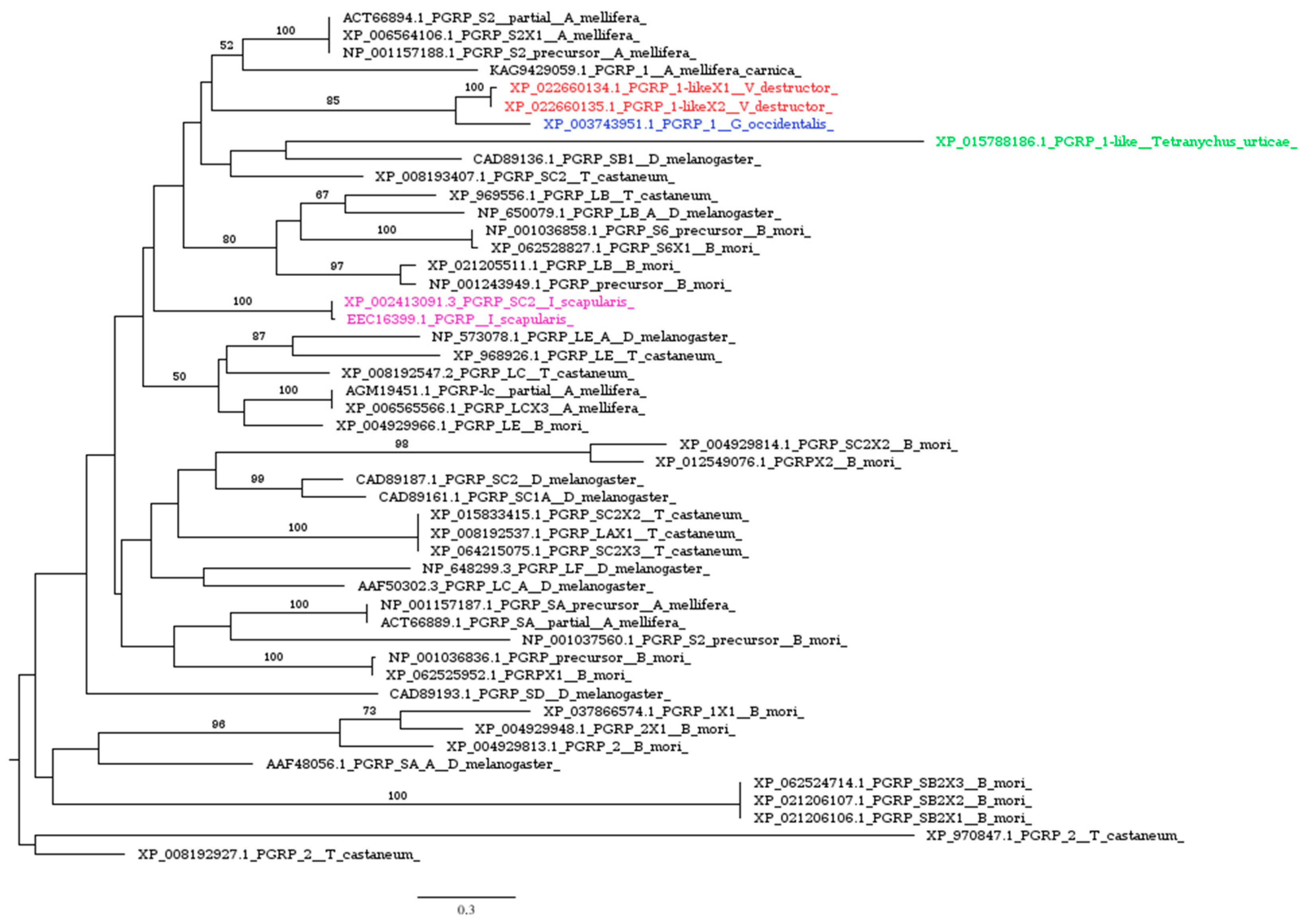 Insects 16 00356 g002 Insects 16 00356 g002