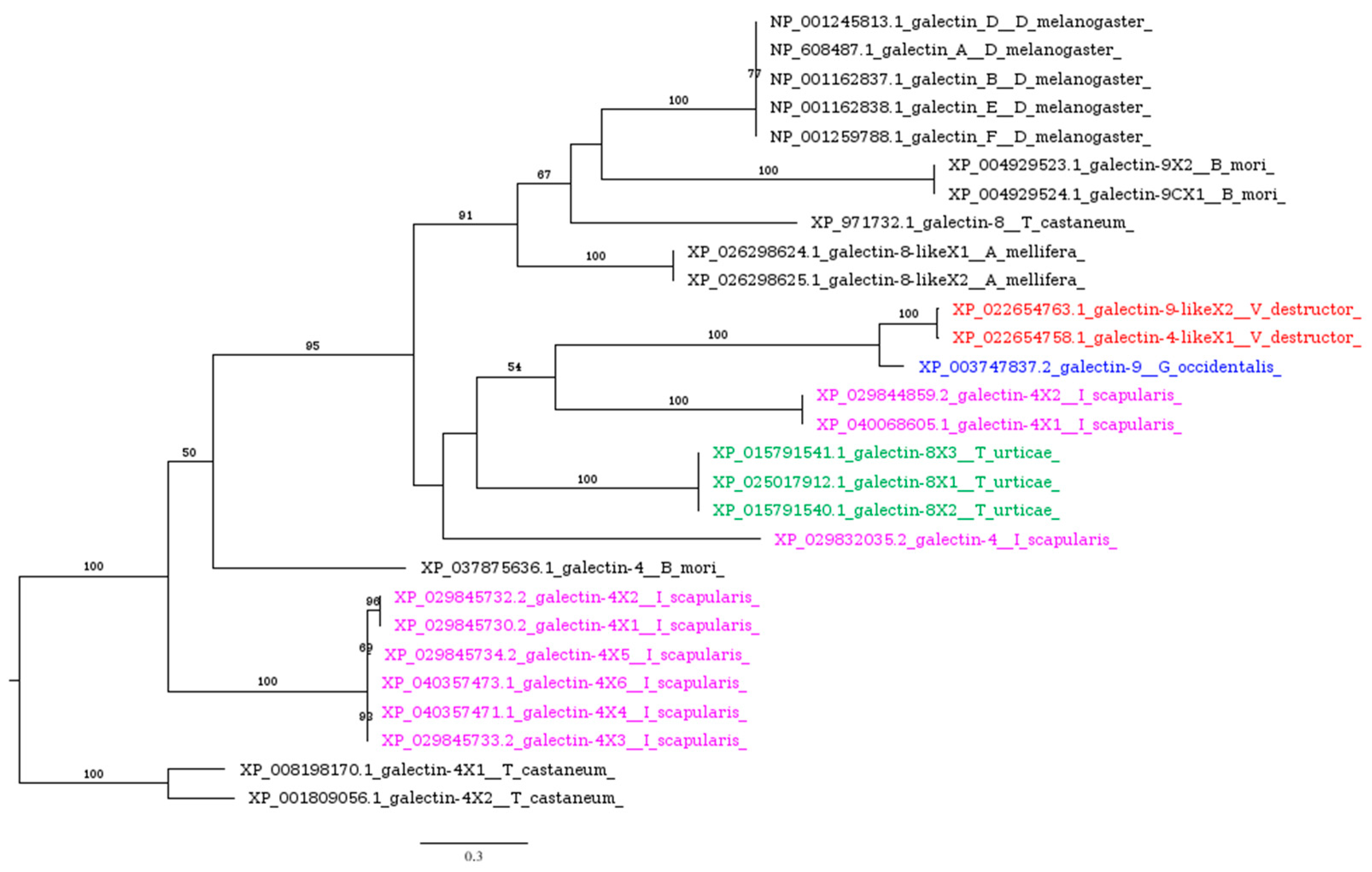 Insects 16 00356 g003 Insects 16 00356 g003