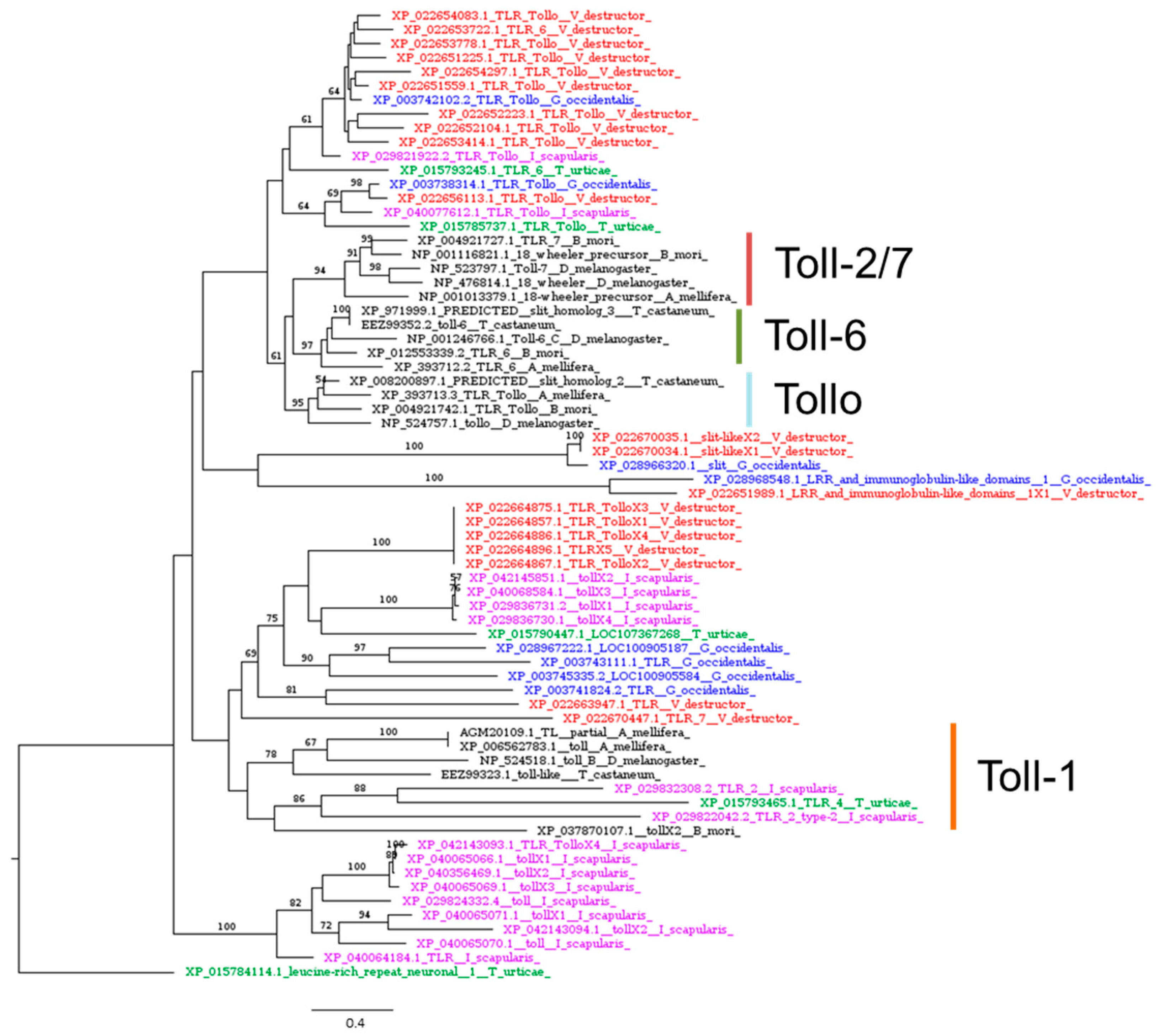 Insects 16 00356 g005 Insects 16 00356 g005