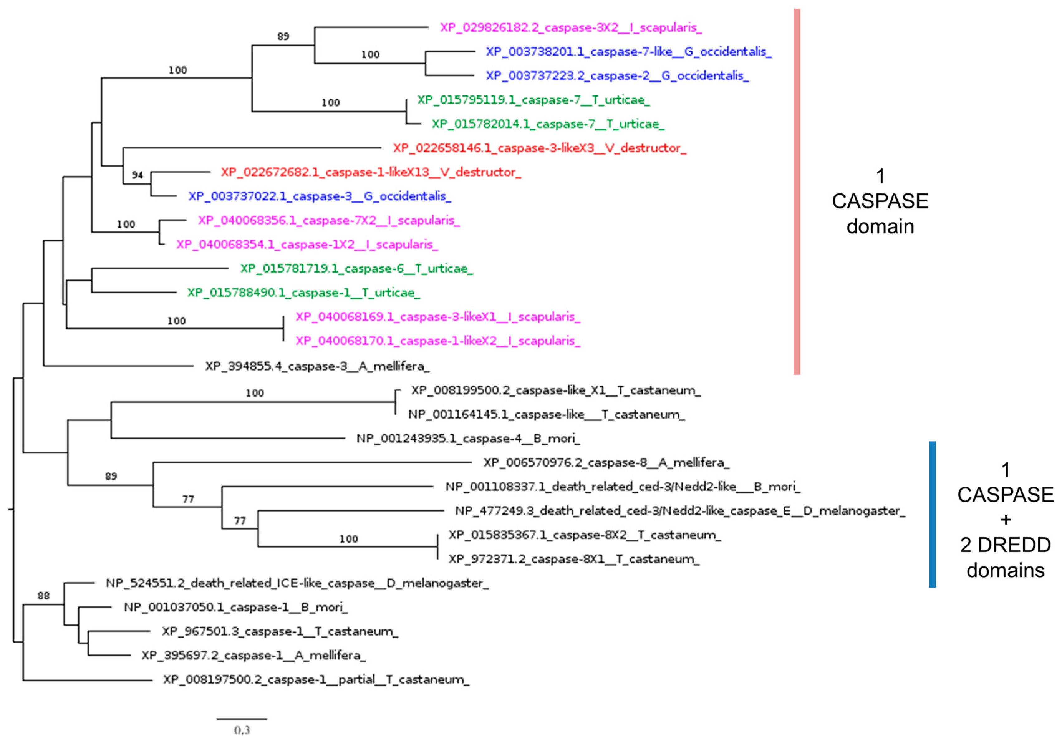 Insects 16 00356 g006 Insects 16 00356 g006