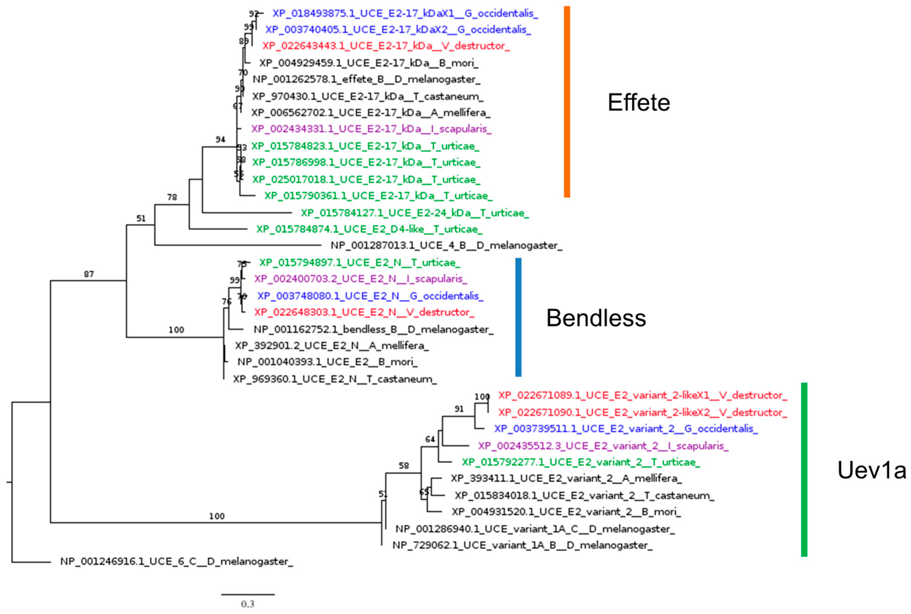 Insects 16 00356 g007 Insects 16 00356 g007