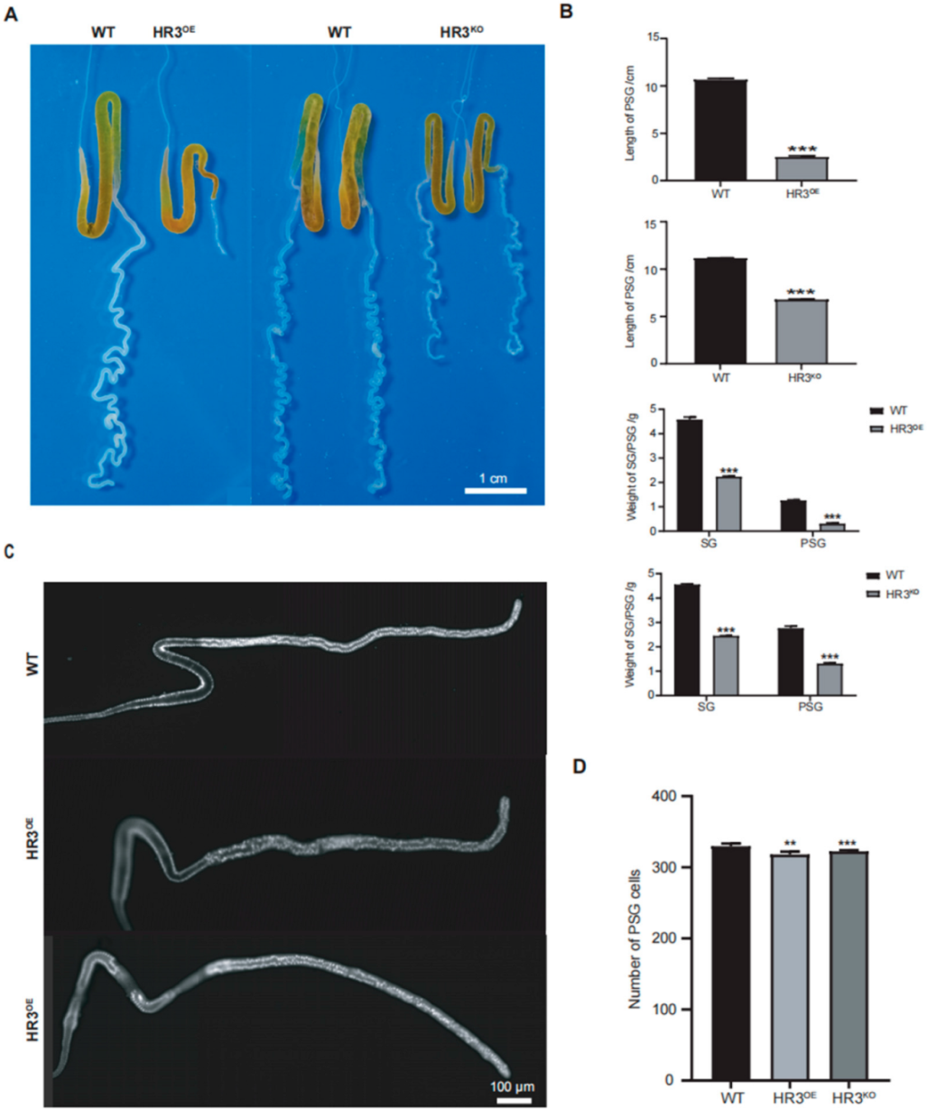Insects 16 00369 g002