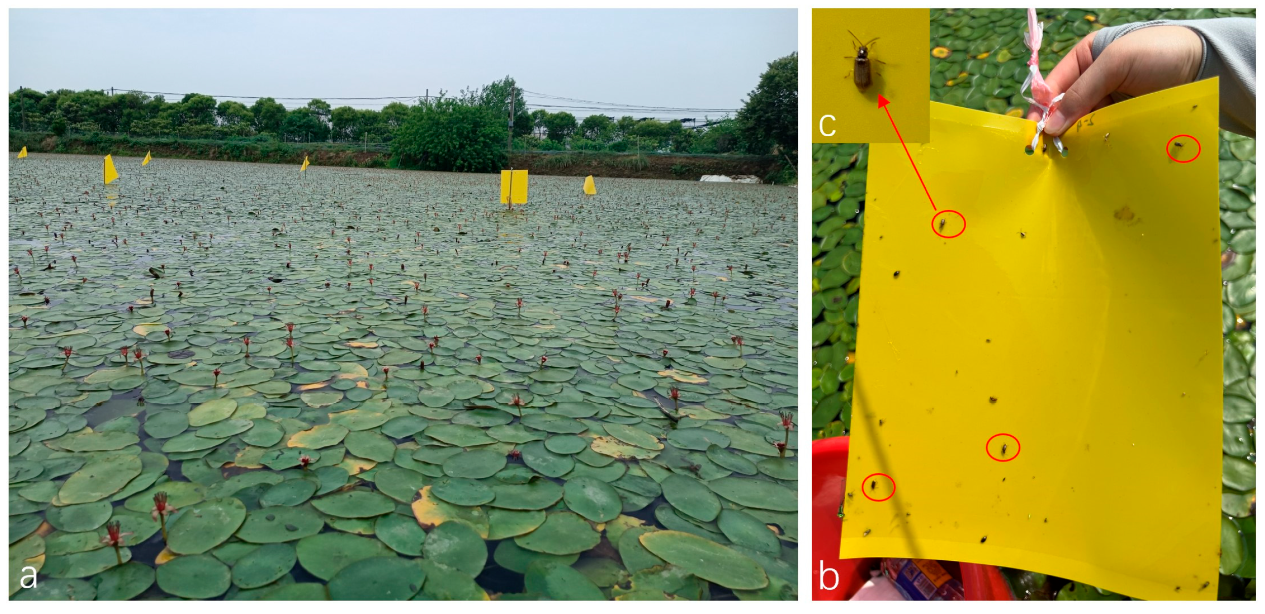 Insects 16 00371 g002