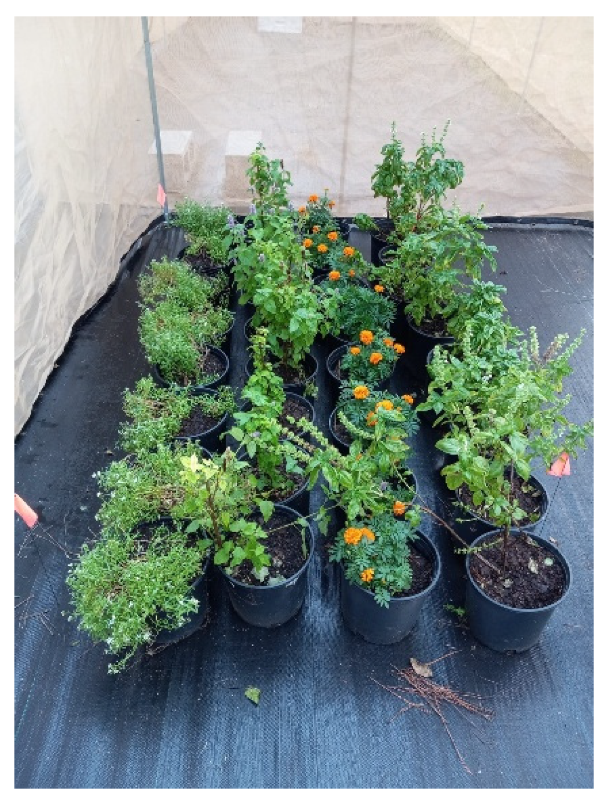 Insects 16 00374 g002