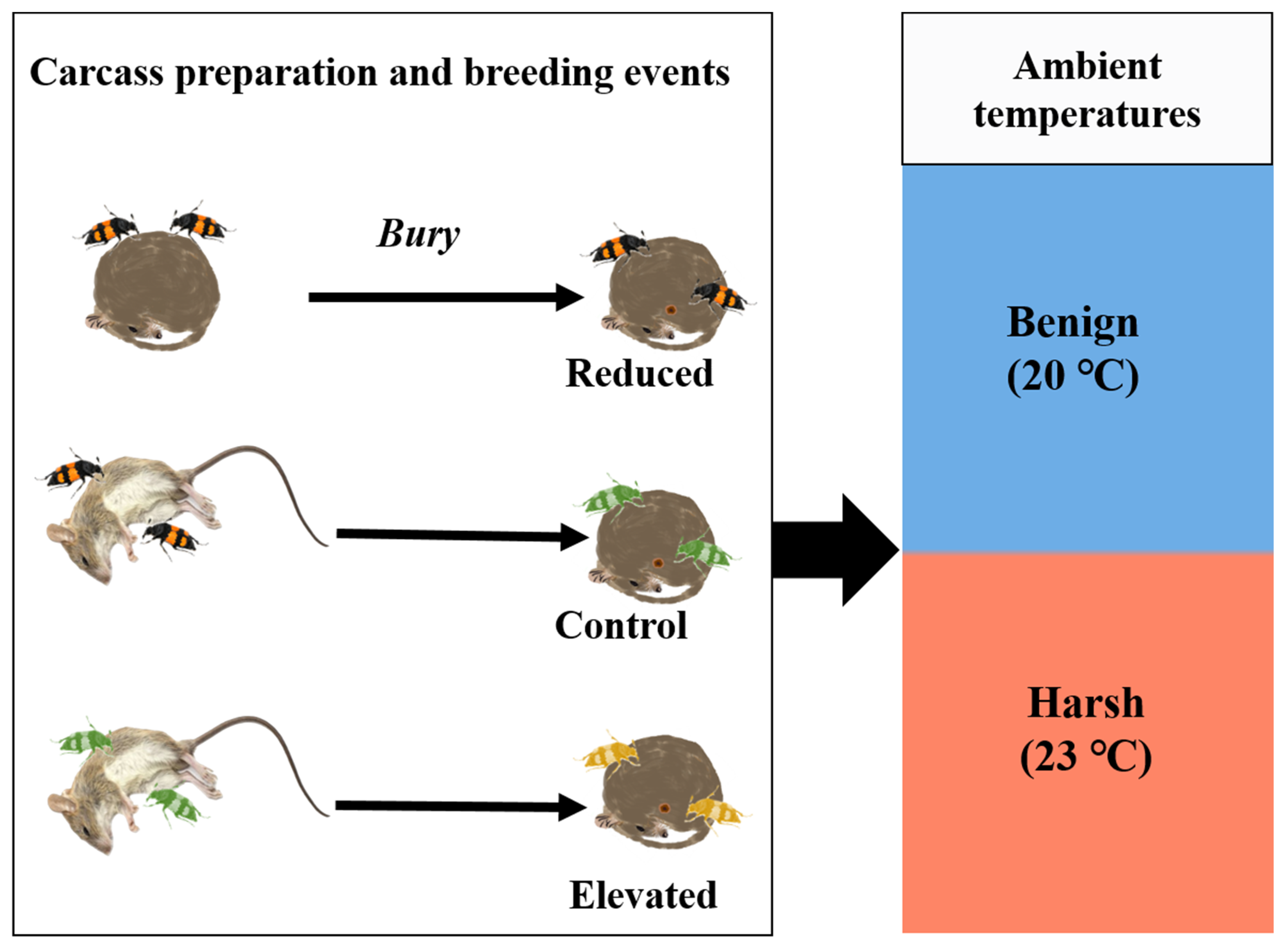 Insects 16 00378 g001