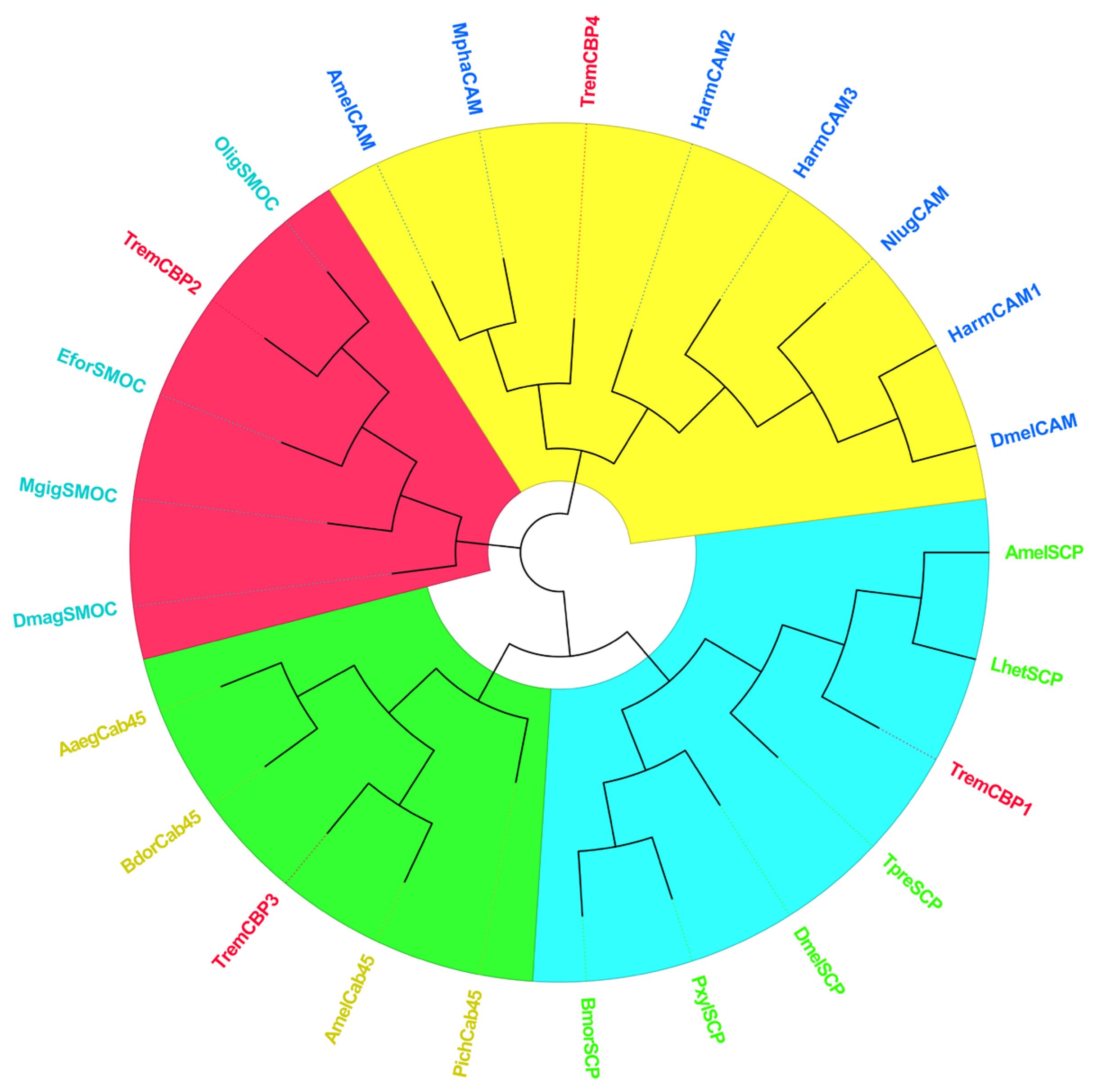 Insects 16 00393 g005