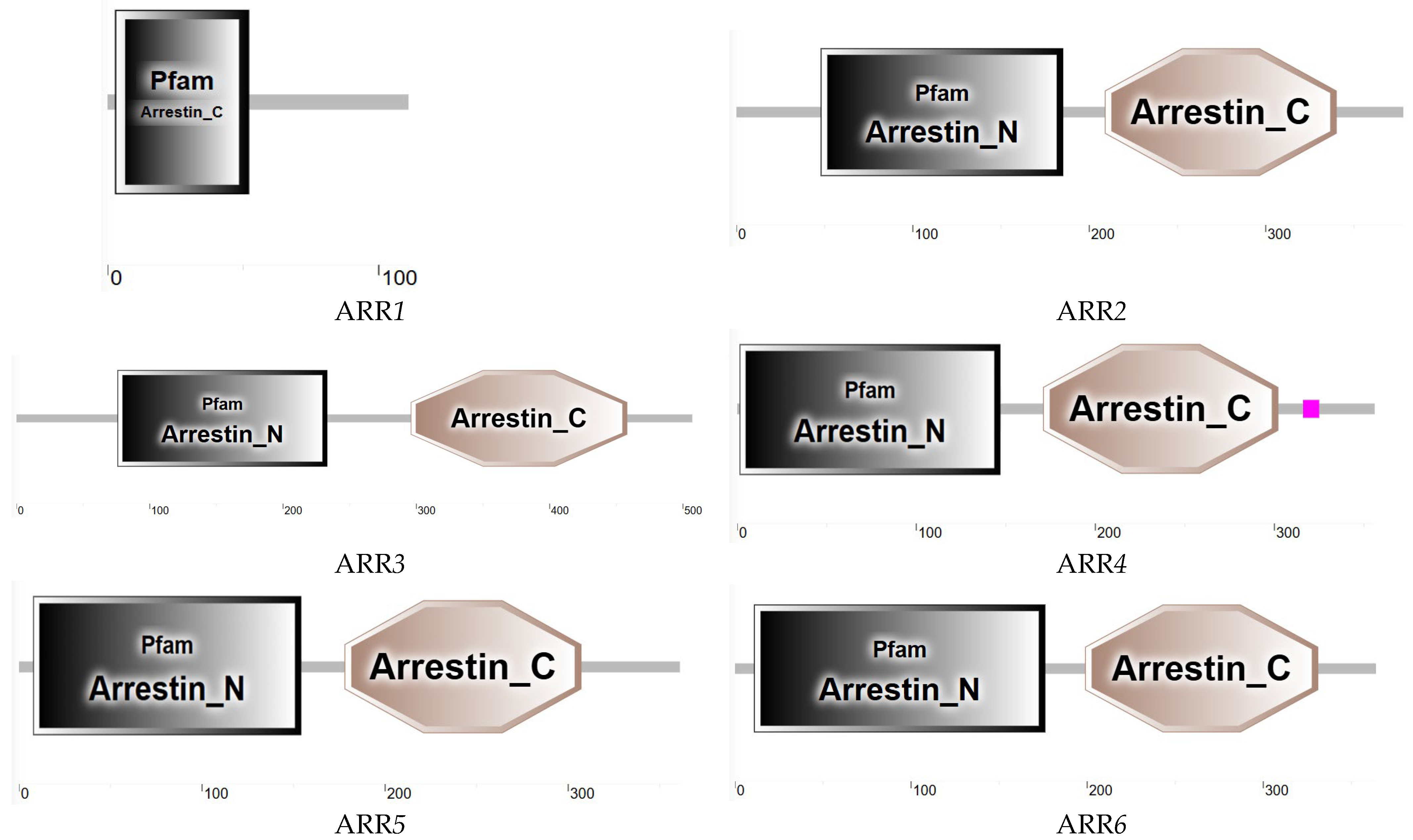 Insects 16 00393 g007