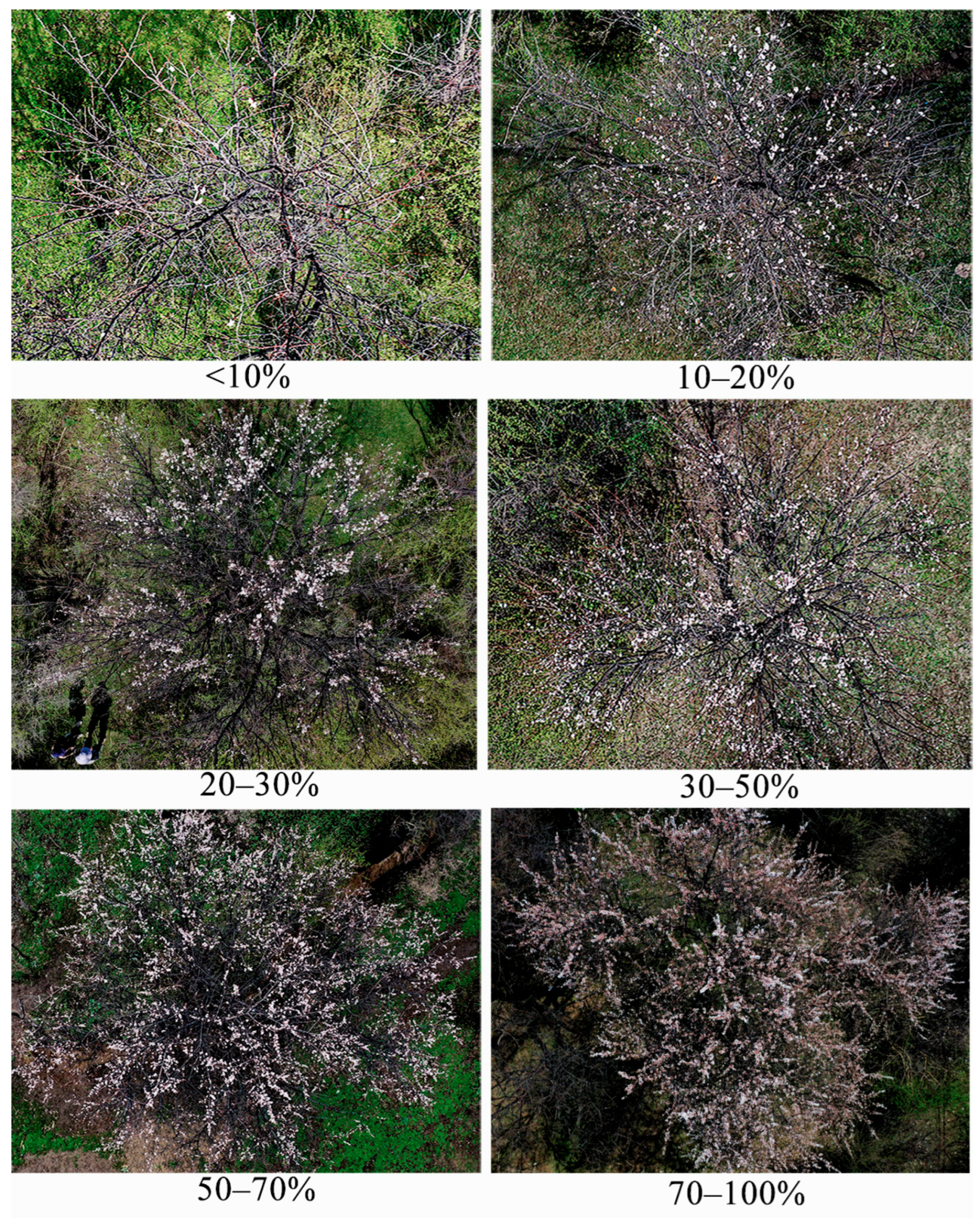 Insects 16 00409 g004