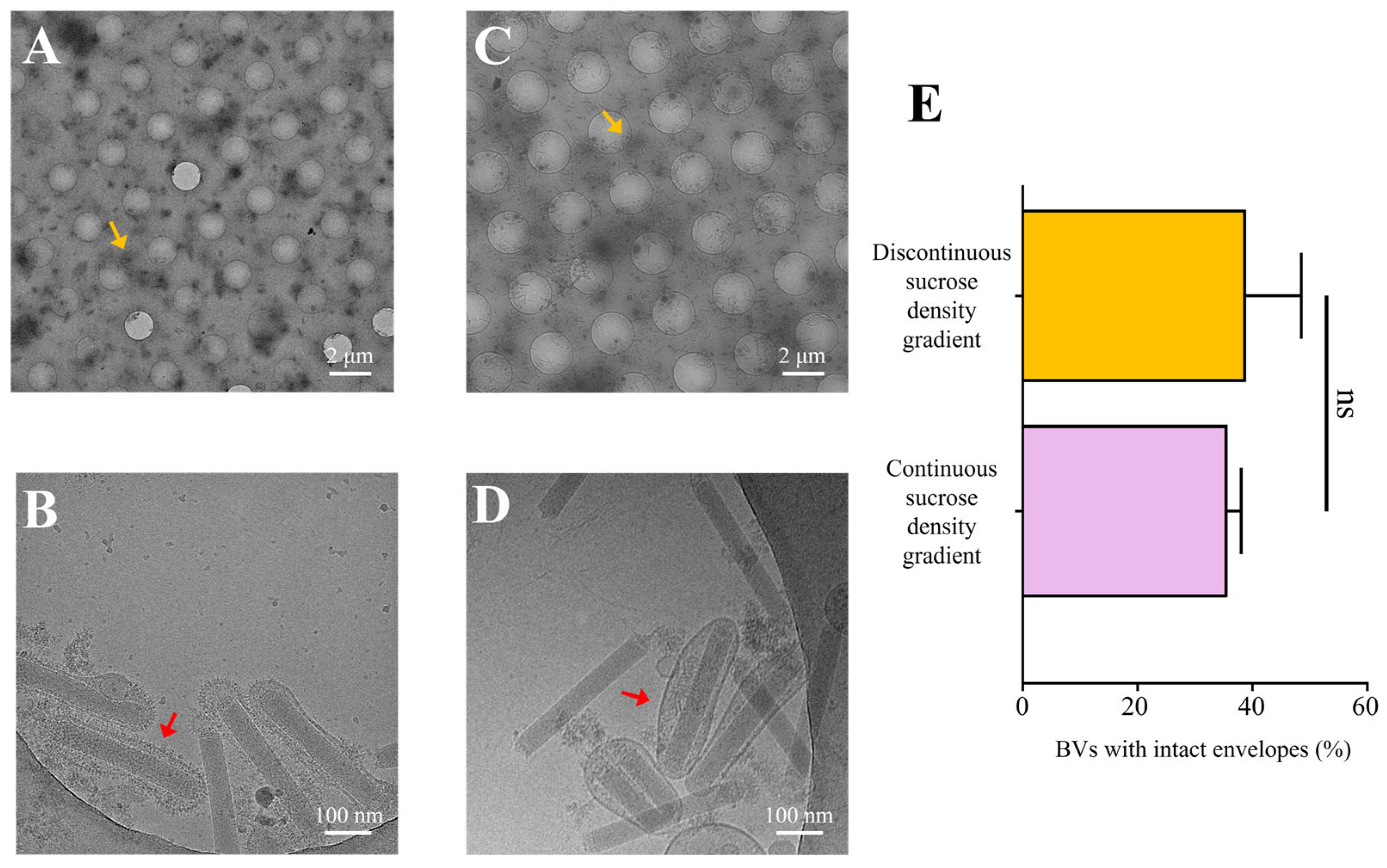 Insects 16 00424 g004