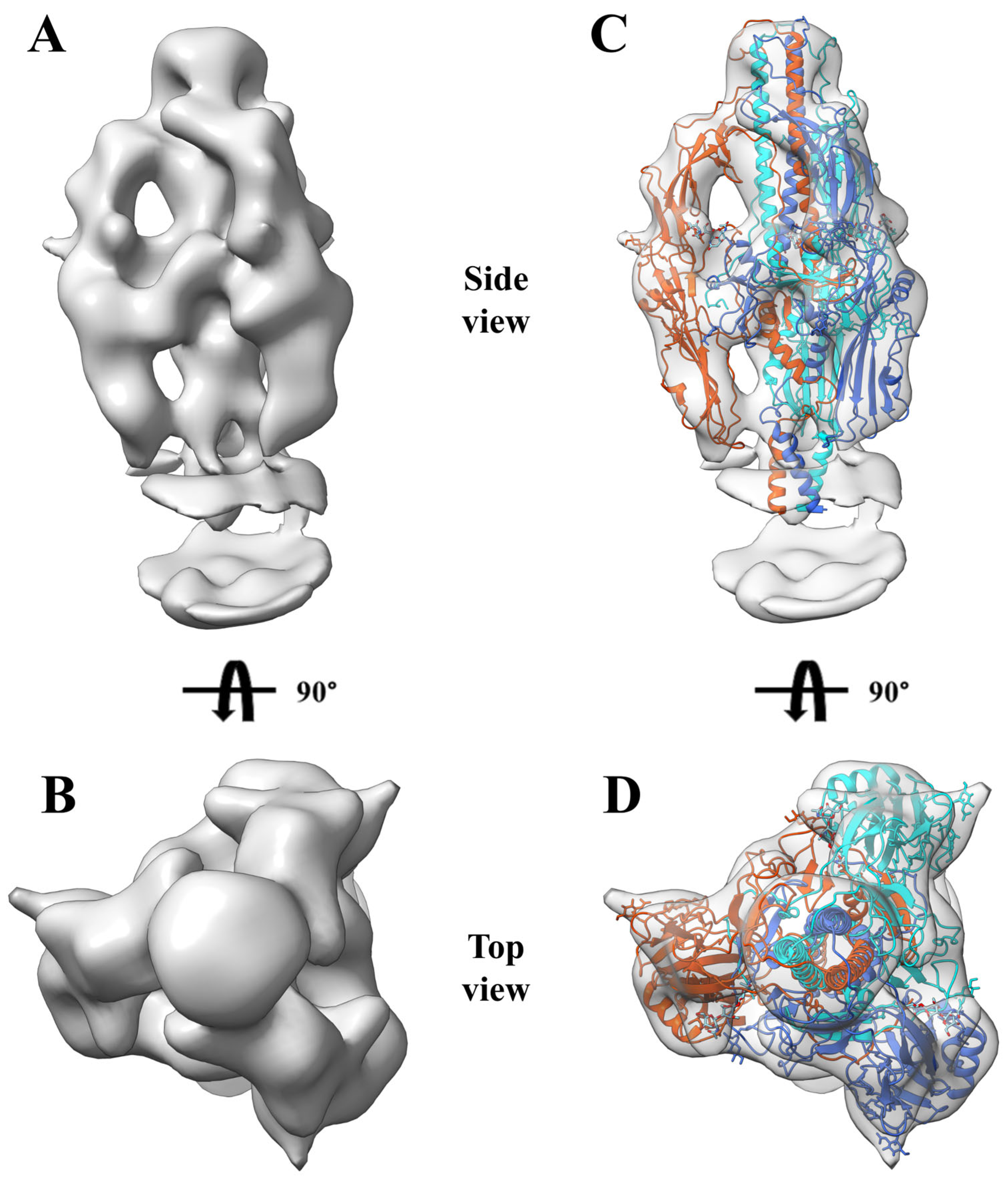 Insects 16 00424 g007