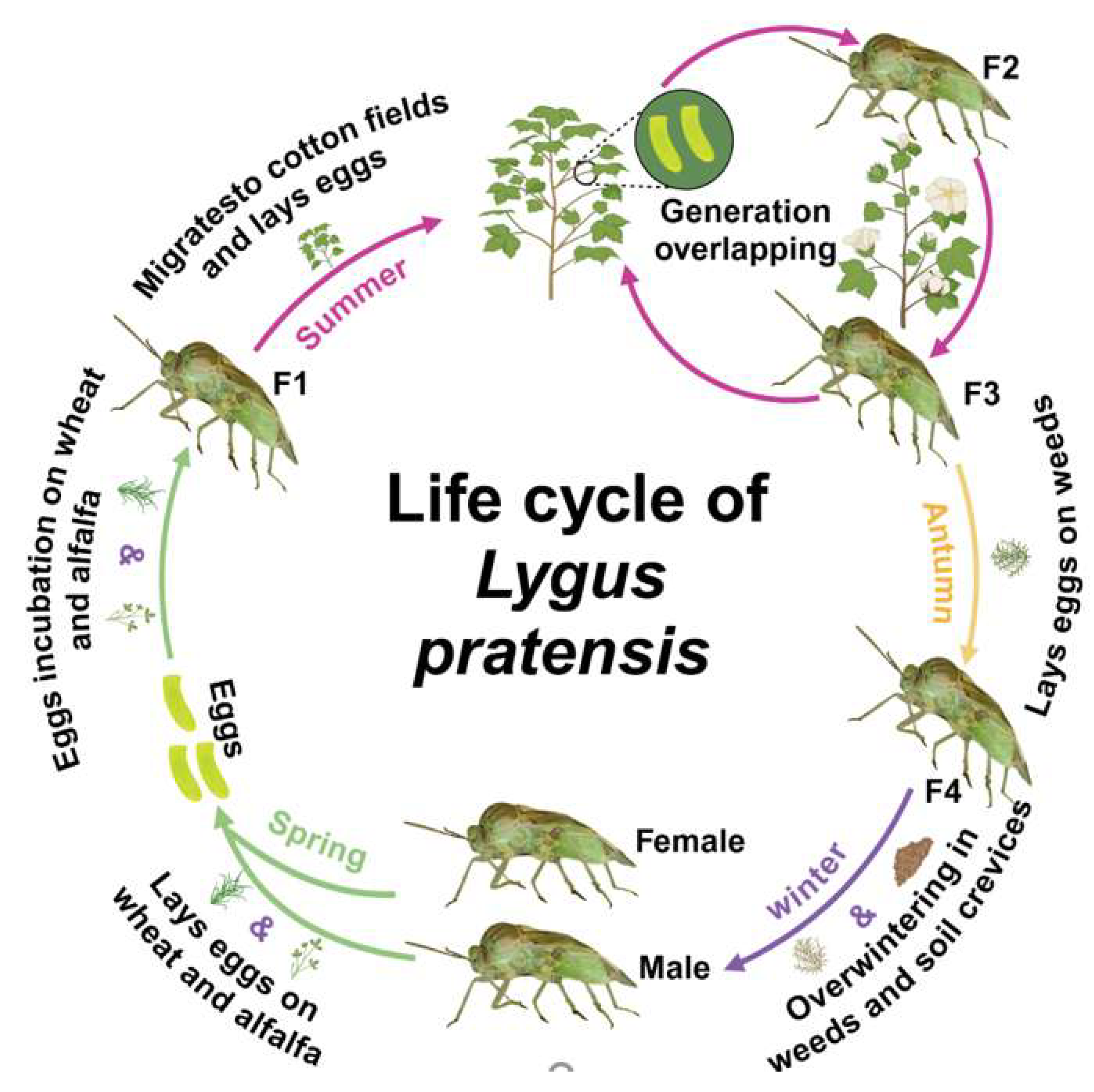Insects 16 00441 g003 Insects 16 00441 g003