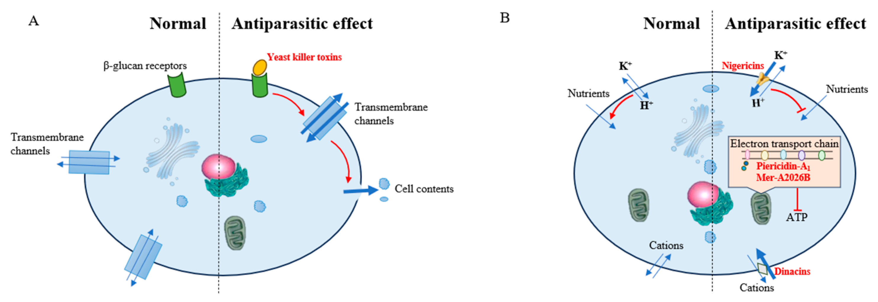 Insects 16 00457 g003