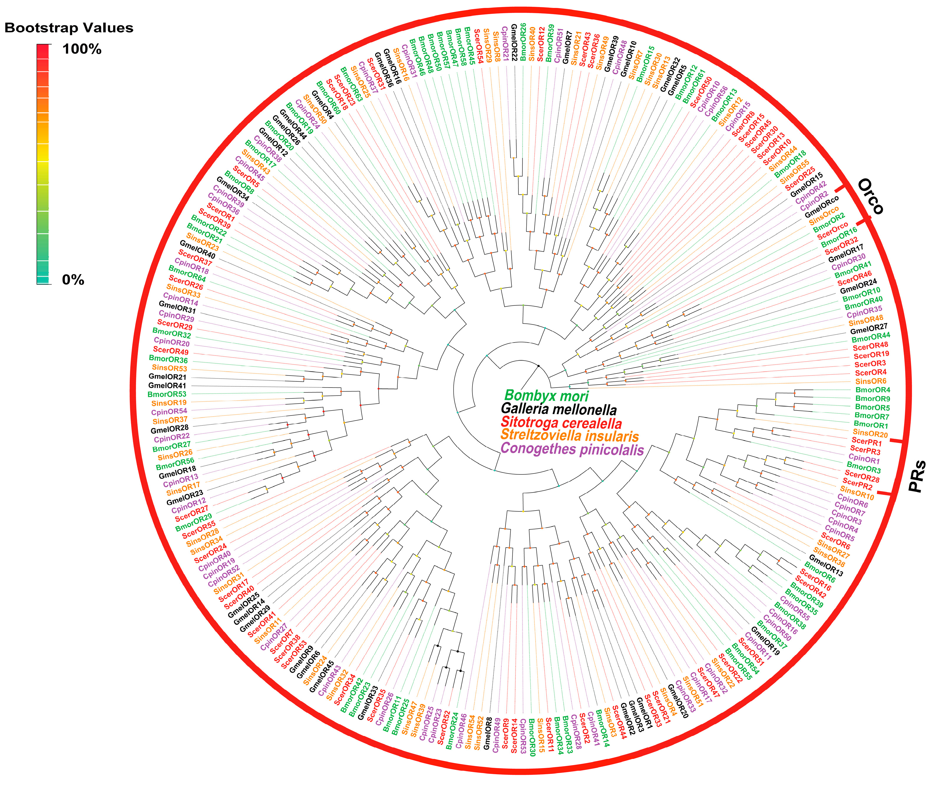 Insects 16 00461 g004 Insects 16 00461 g004
