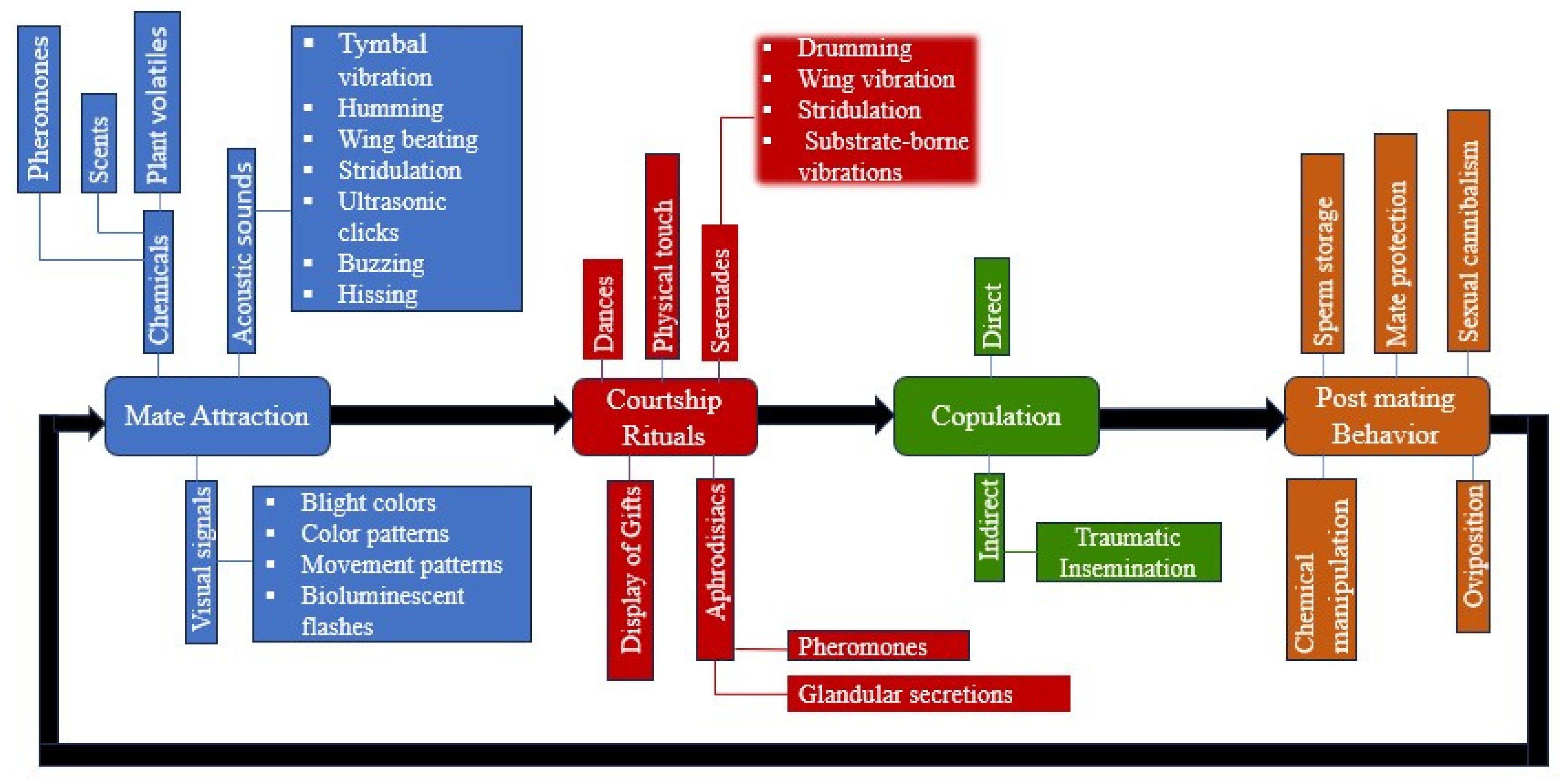 Insects 16 00506 g002 Insects 16 00506 g002