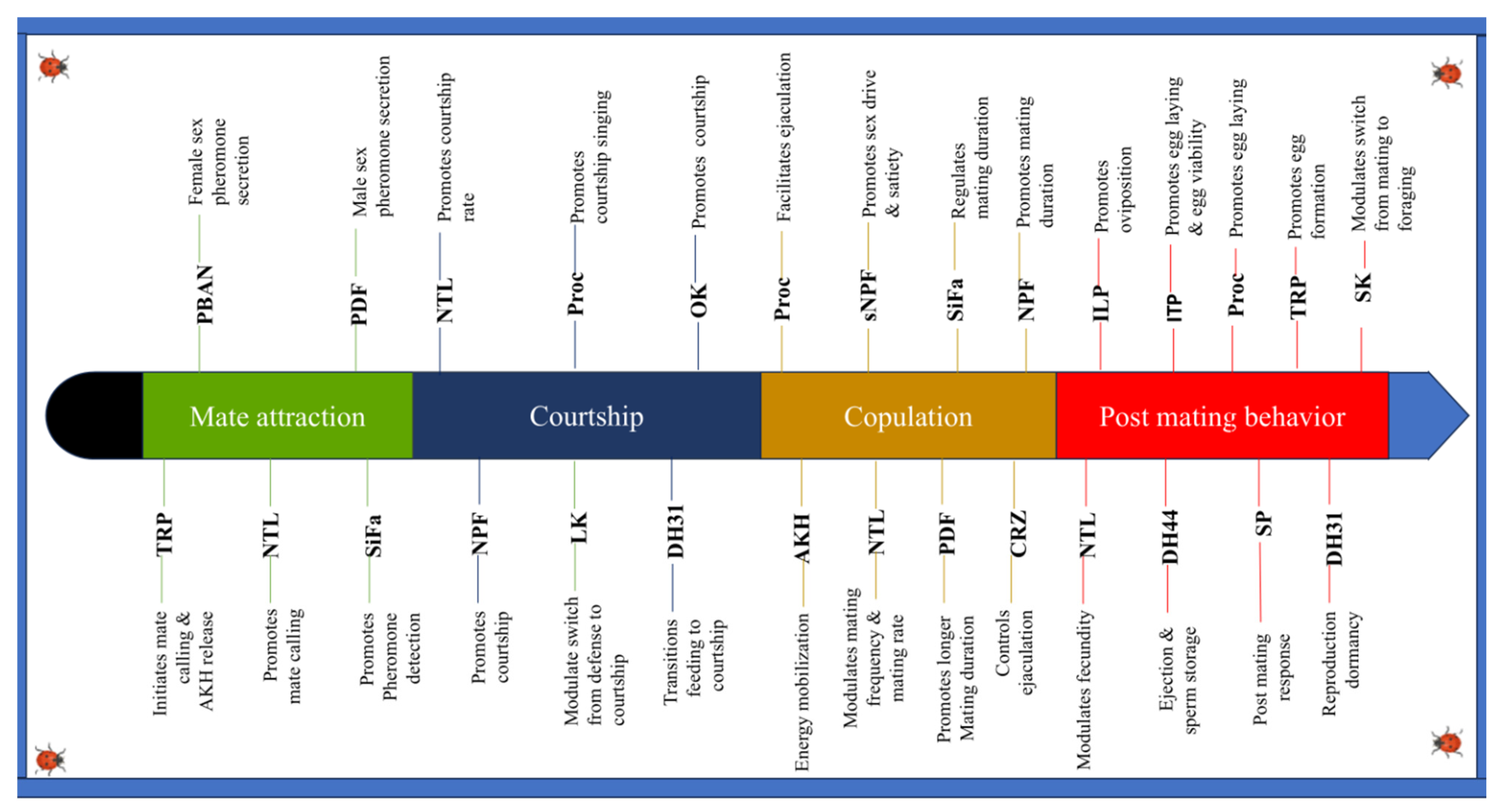 Insects 16 00506 g003 Insects 16 00506 g003