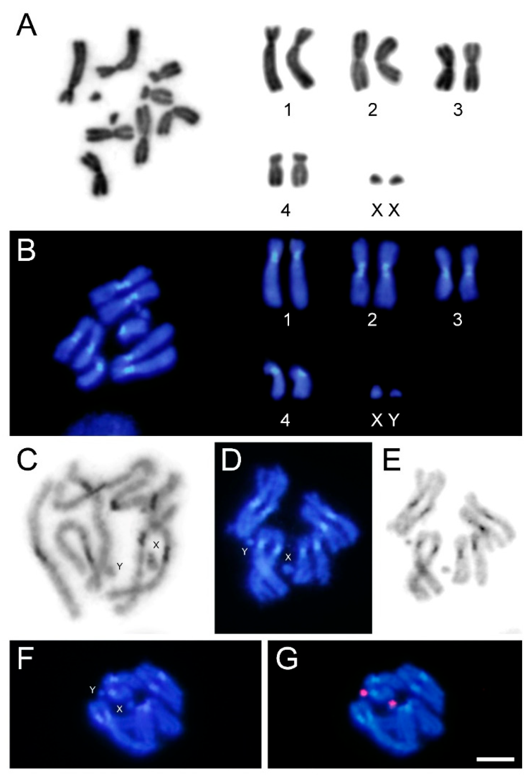 Insects 16 00604 g001
