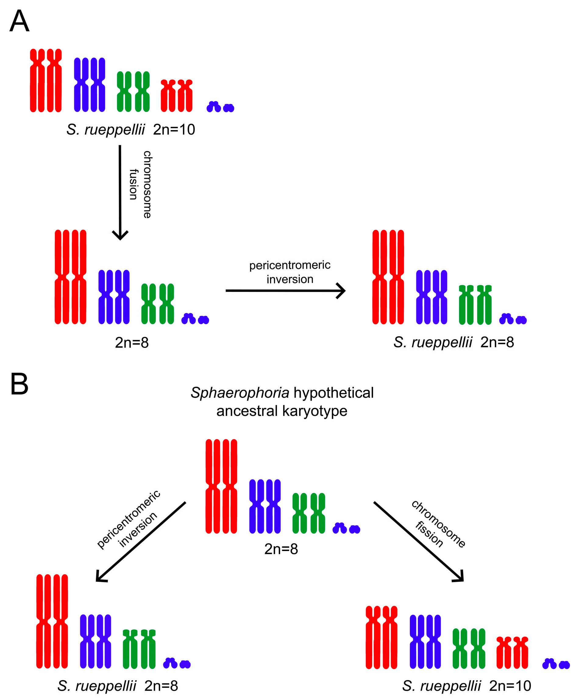 Insects 16 00604 g002