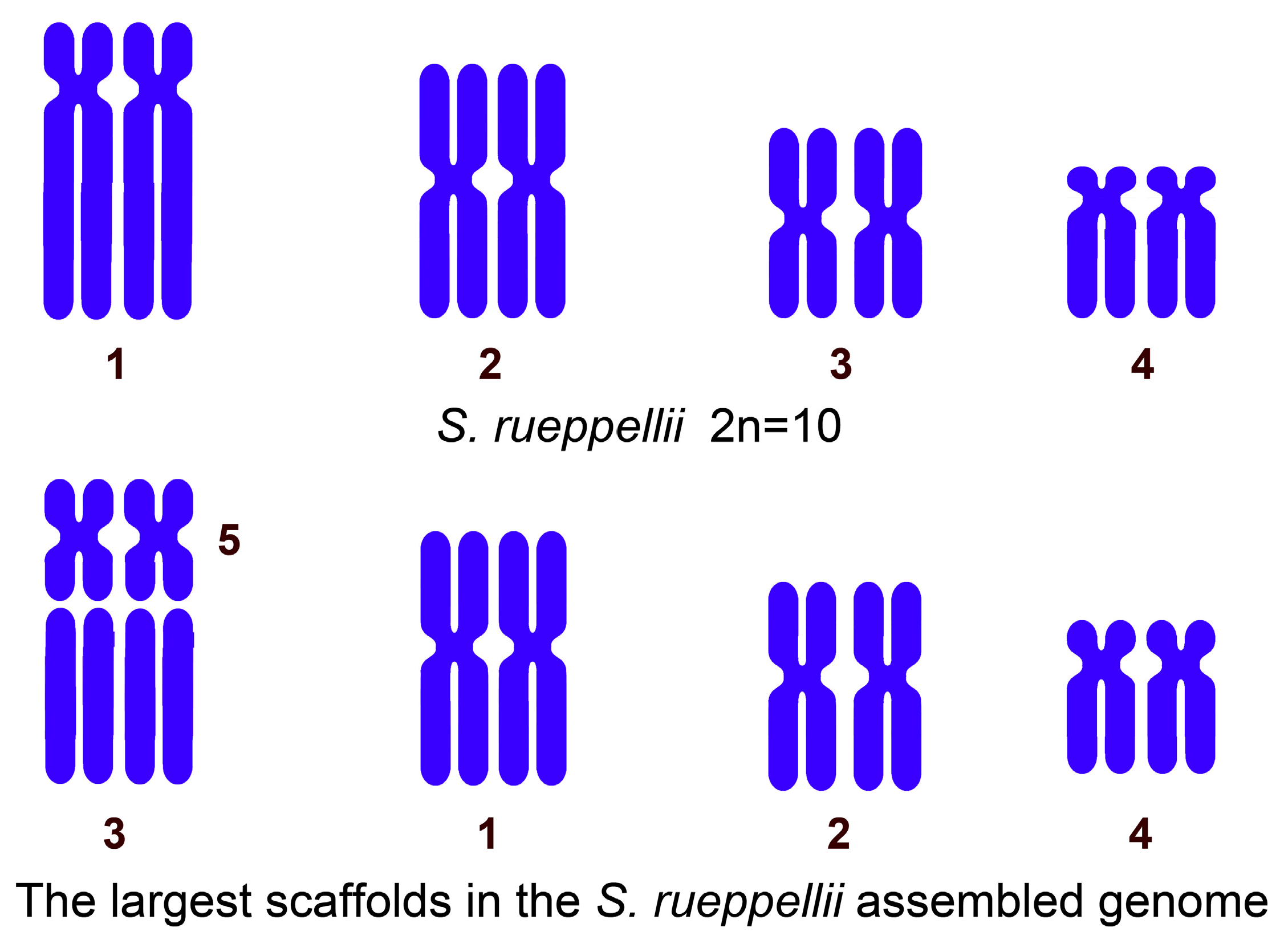 Insects 16 00604 g003